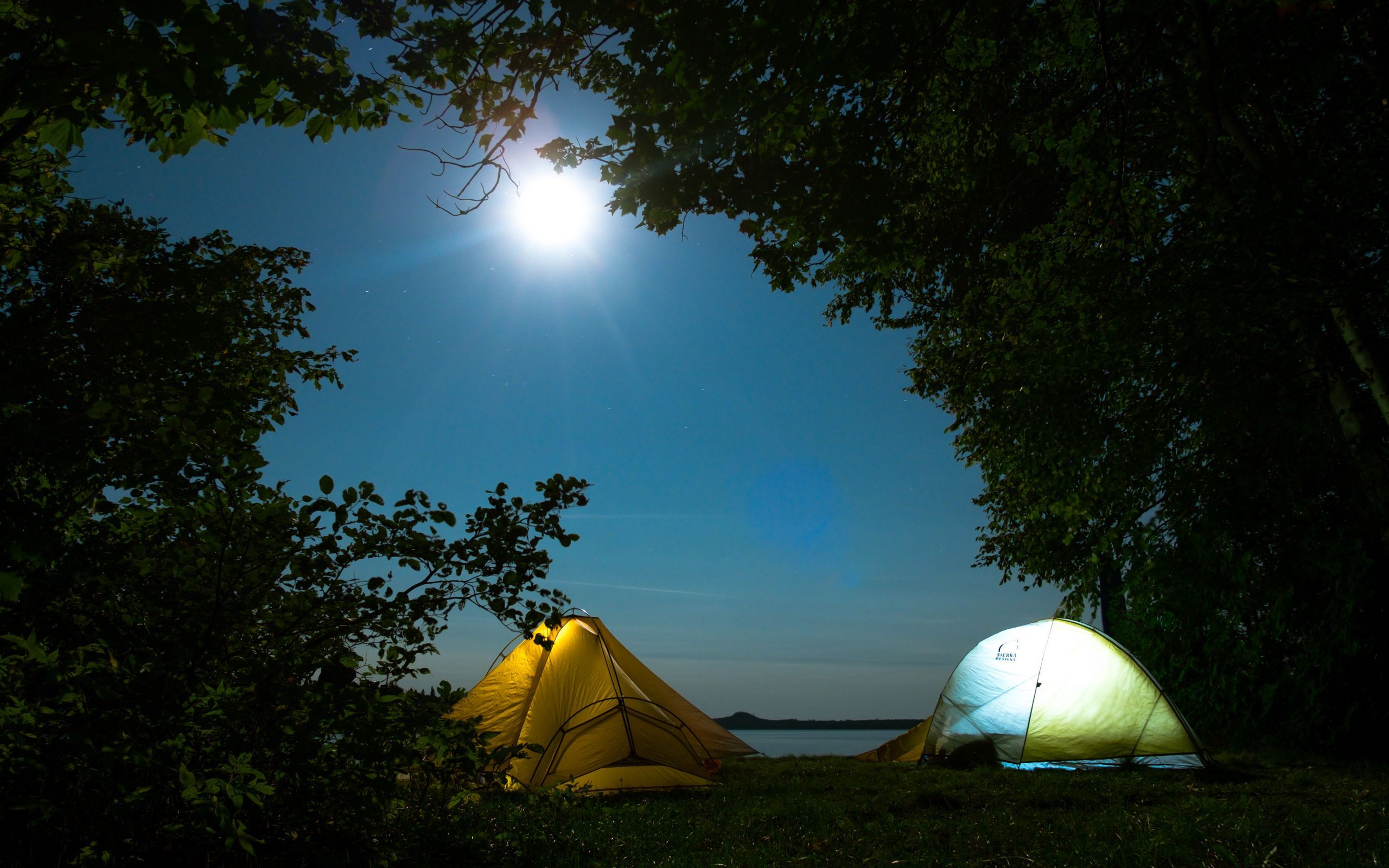 Download wallpaper 2560x1600 tents, camping, trees widescreen 16