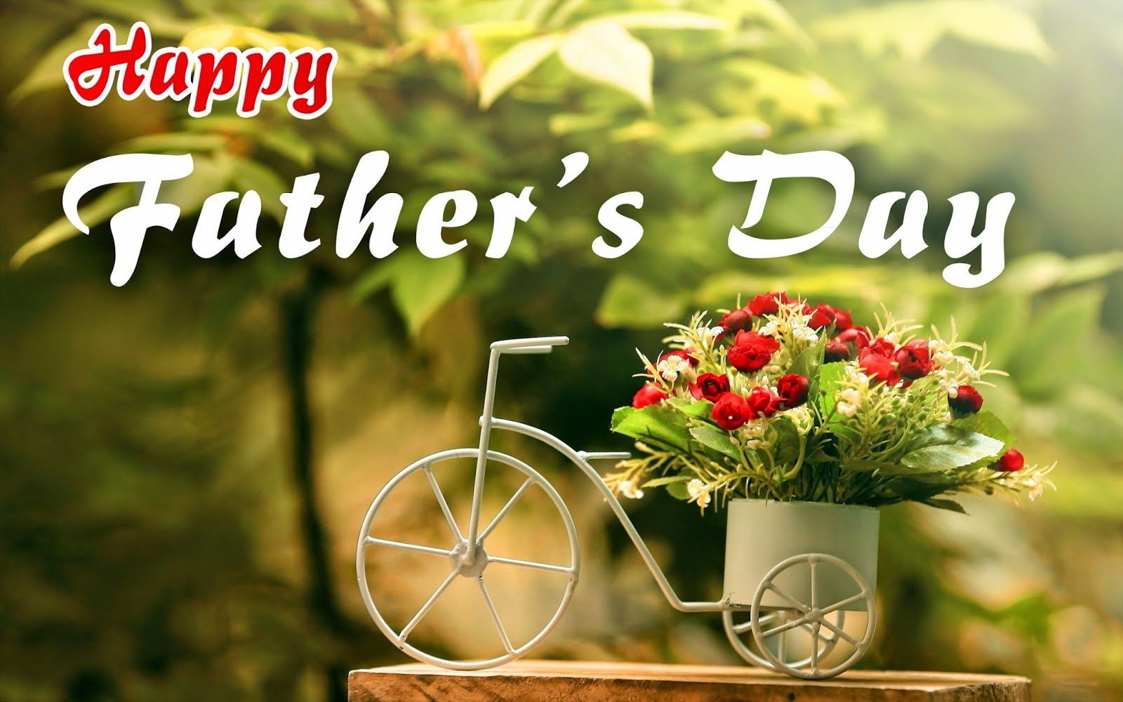 } Image, Wallpaper, HD Pic And Greeting Cards Of Fathers