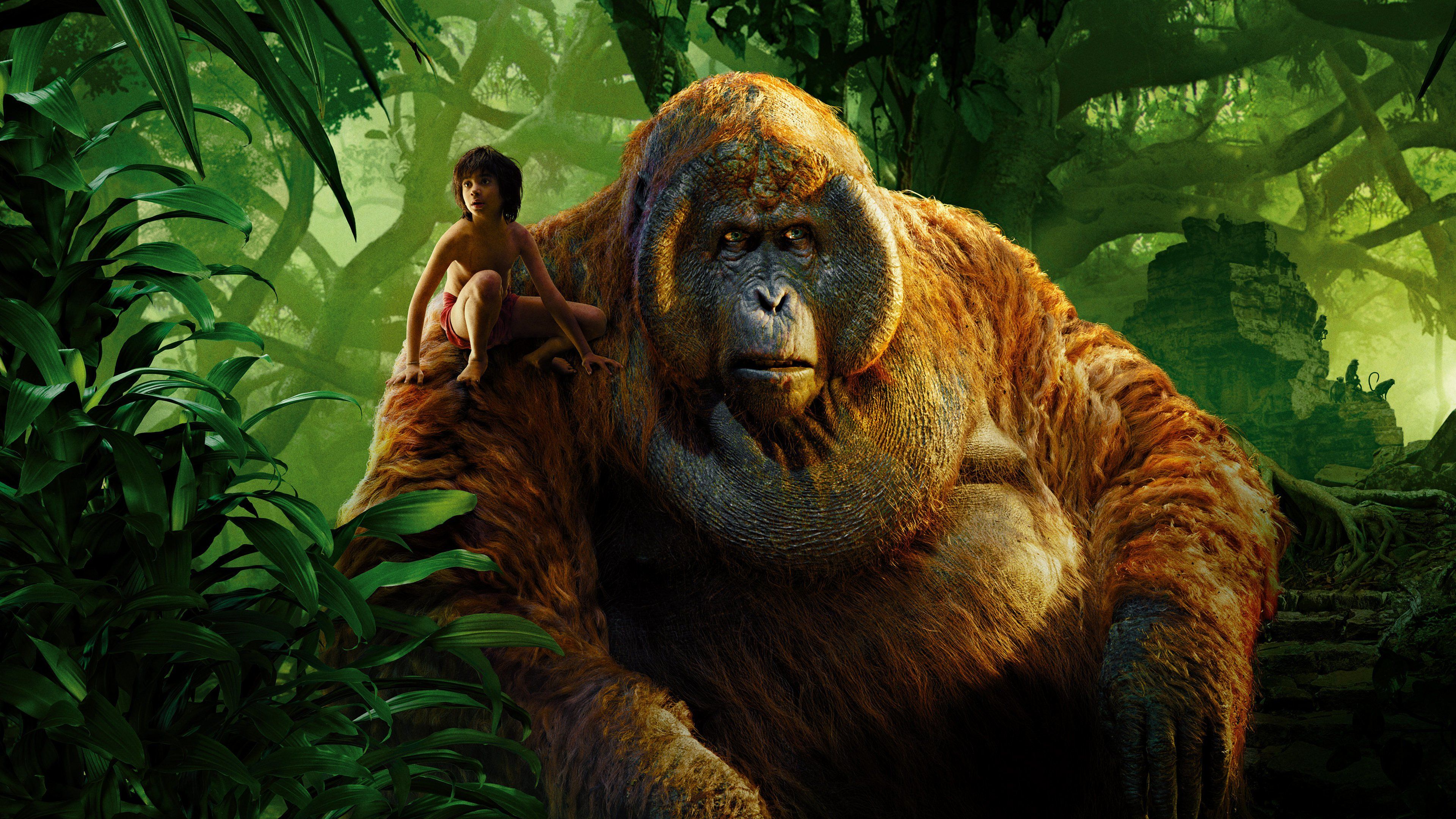The Jungle Book (2016) 4k Ultra HD Wallpaper. Background Image