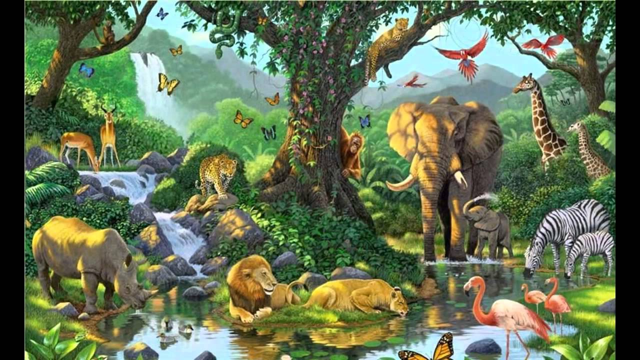 Jungle Book Wallpaper Posters Wallpaper