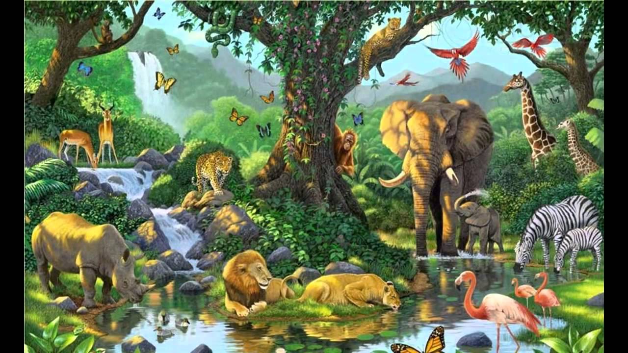 The Jungle Book HD Wallpapers - Wallpaper Cave