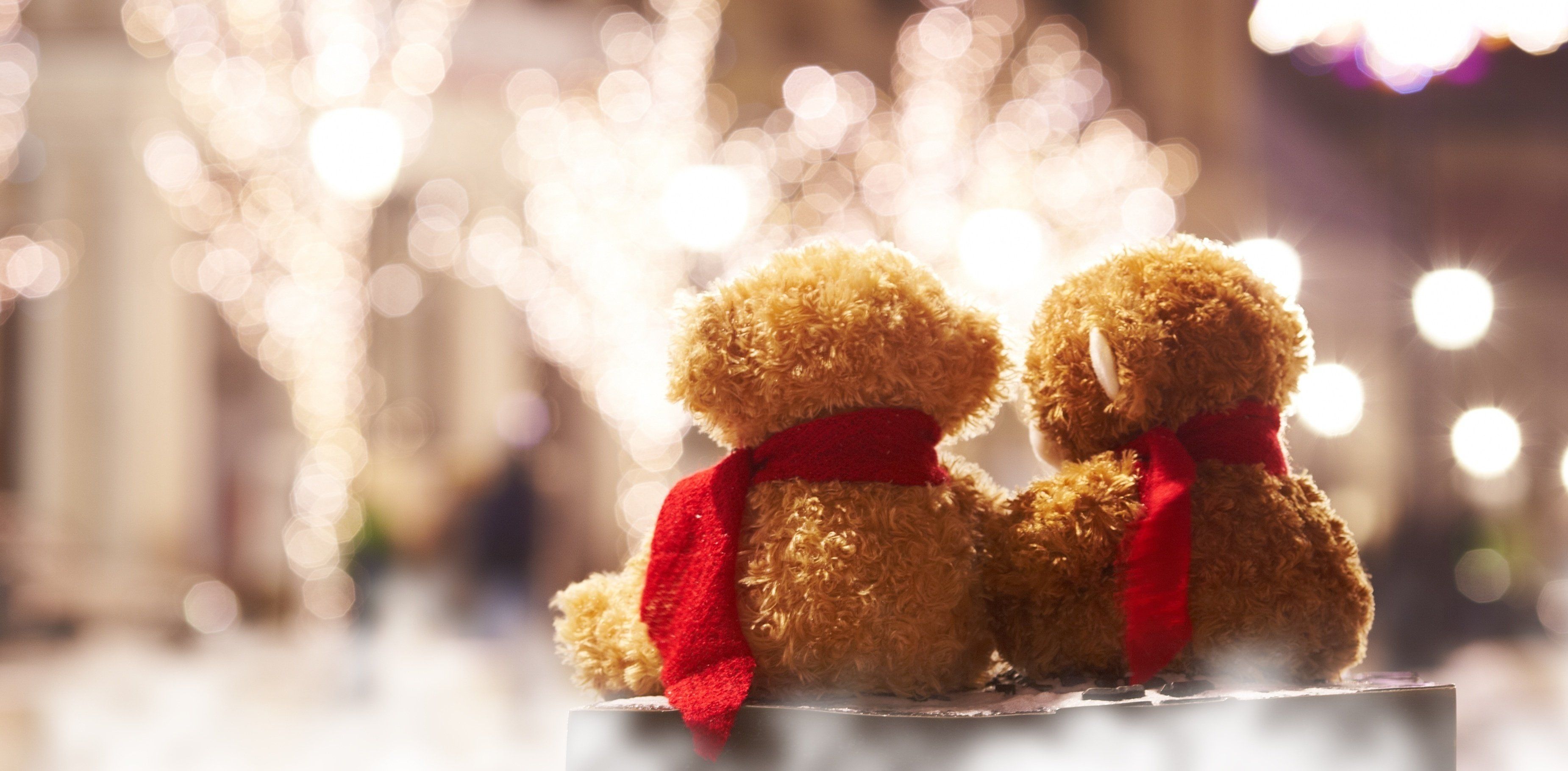 Teddy bear romance together lights love mood toy wallpaper