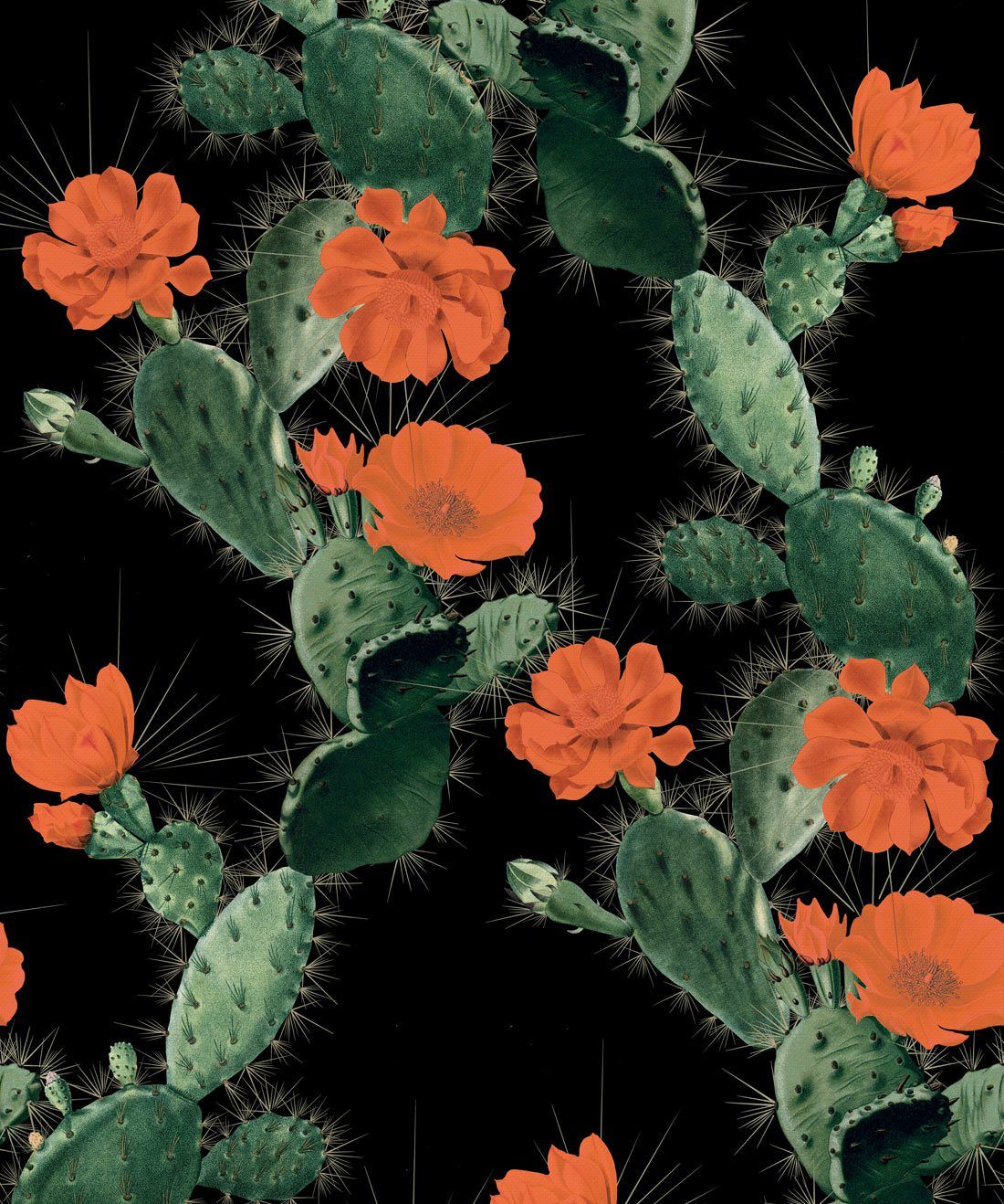Alluring Cactus Wallpaper • Bold Bright Cacti Design
