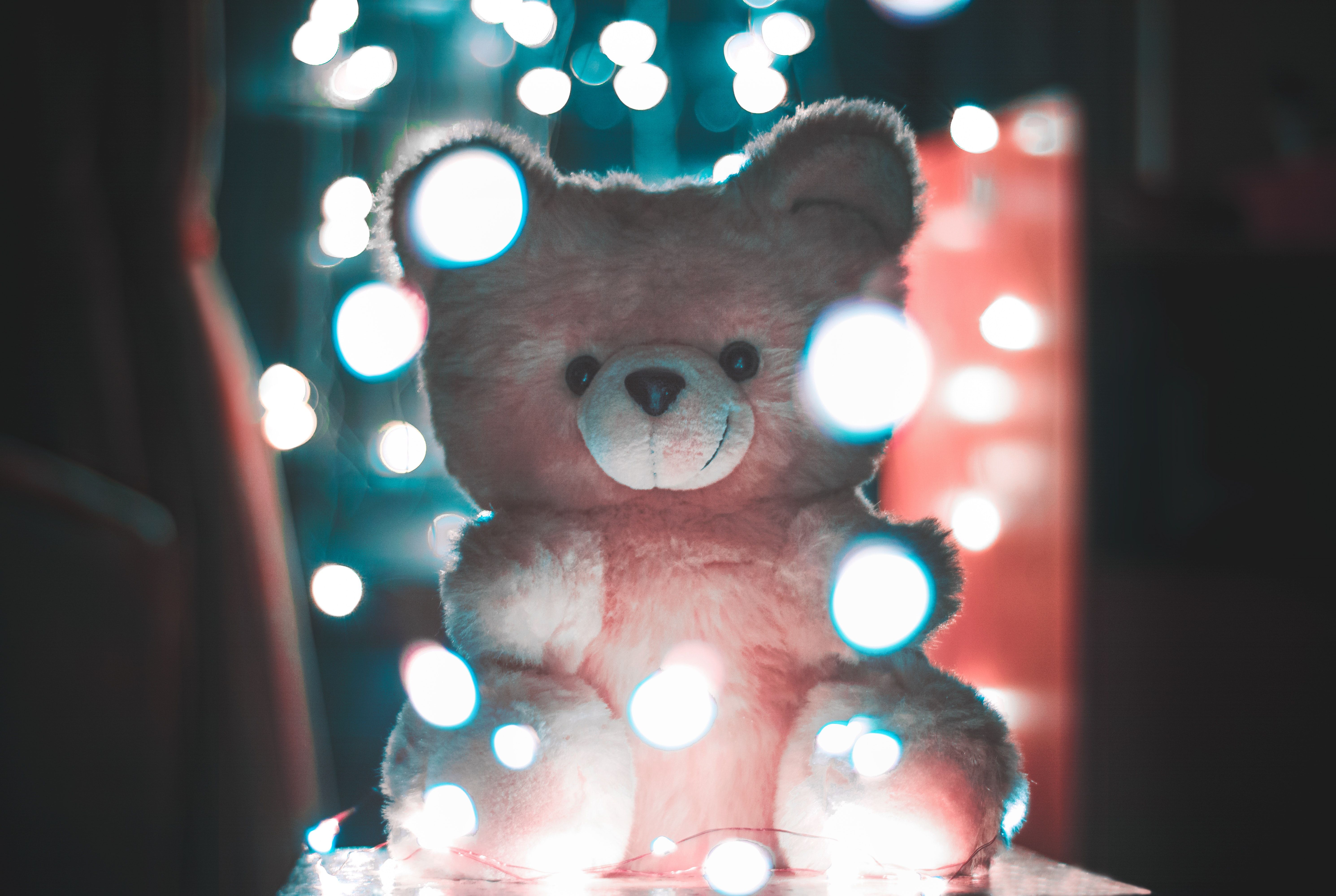 cute lighting teddy bear