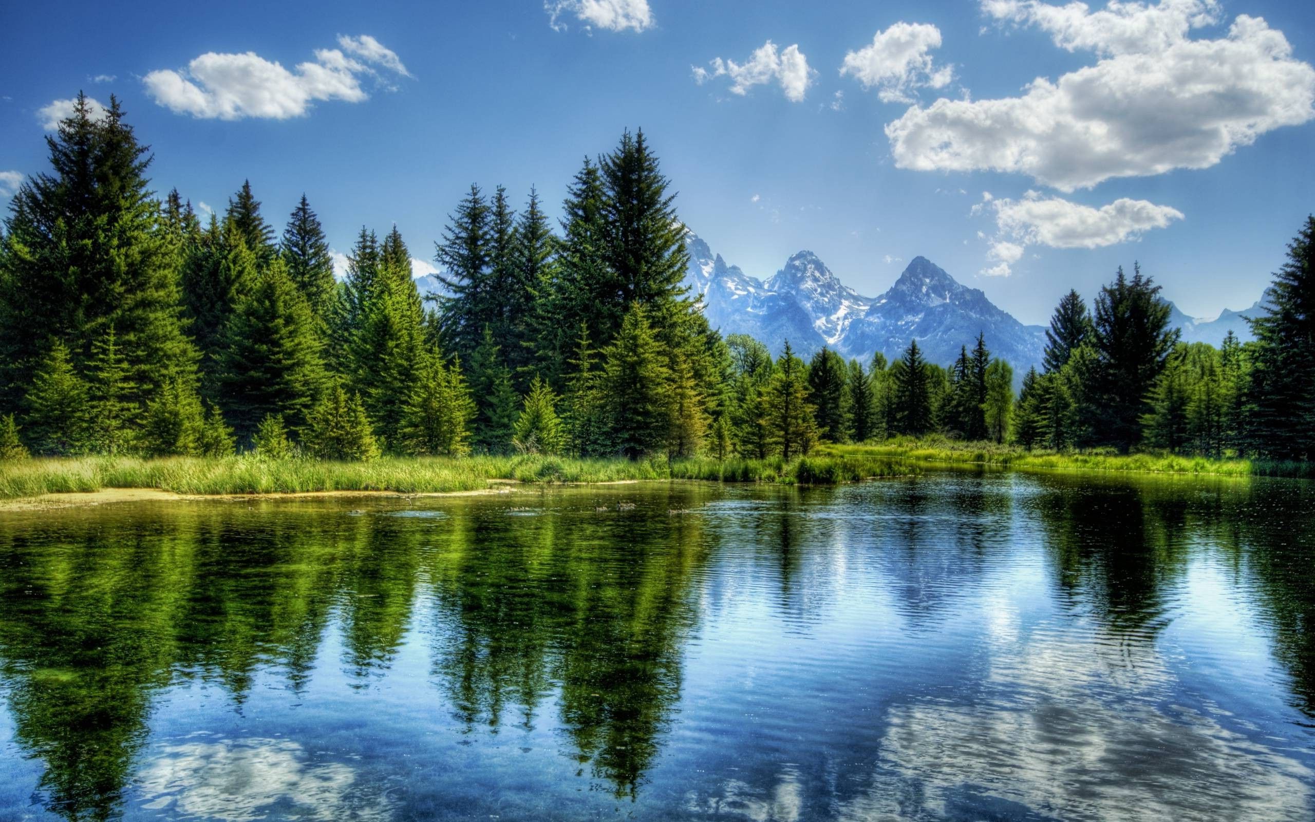 Nature, Hdr, River, Trees, Mountain, Landscape Wallpaper
