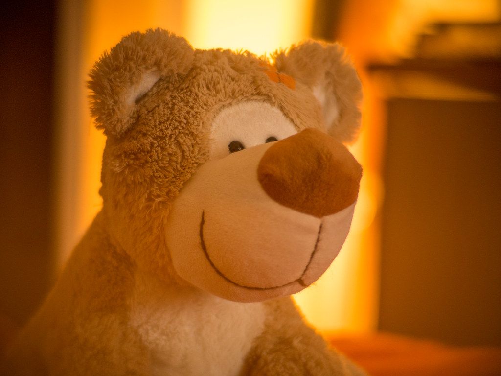 Cosy Teddy Bear Under Warm Lighting. Shot On Olympus OM D E