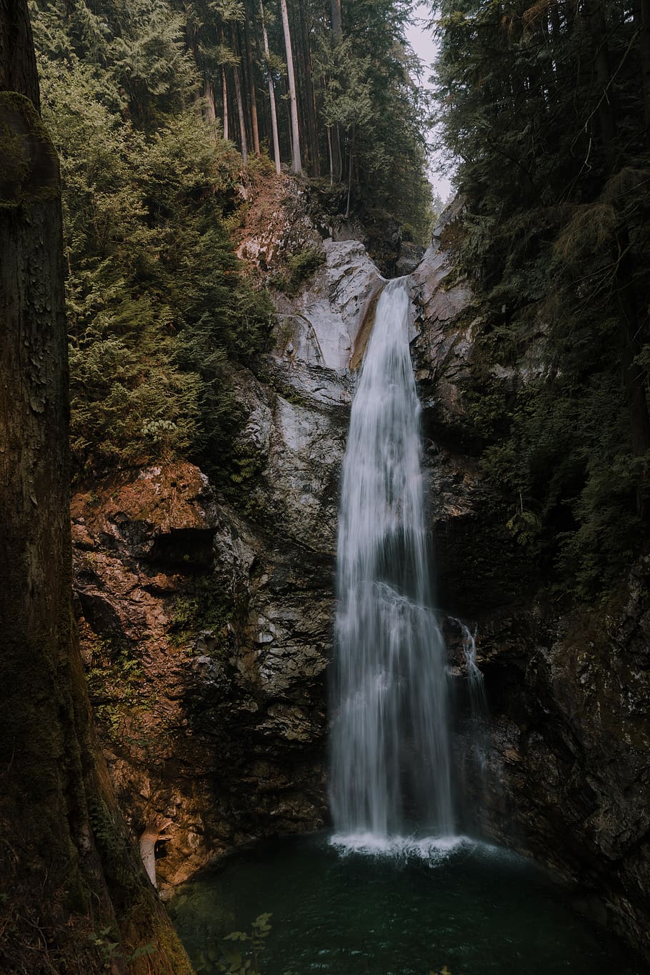 canada, cascade falls trail, vertical, HD wallpaper, wallpaper