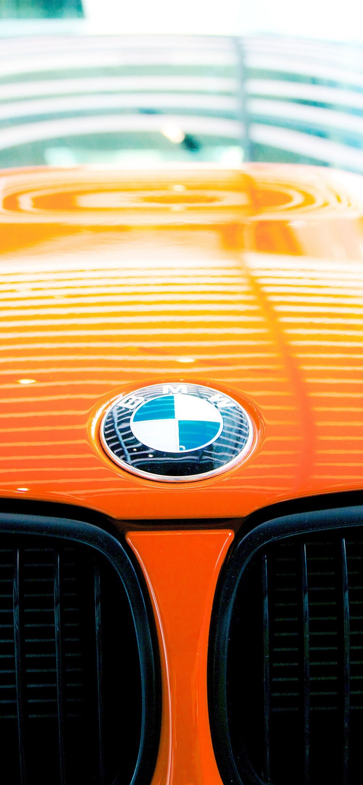 Wallpaper BMW logo, orange car 5120x2880 UHD 5K Picture, Image