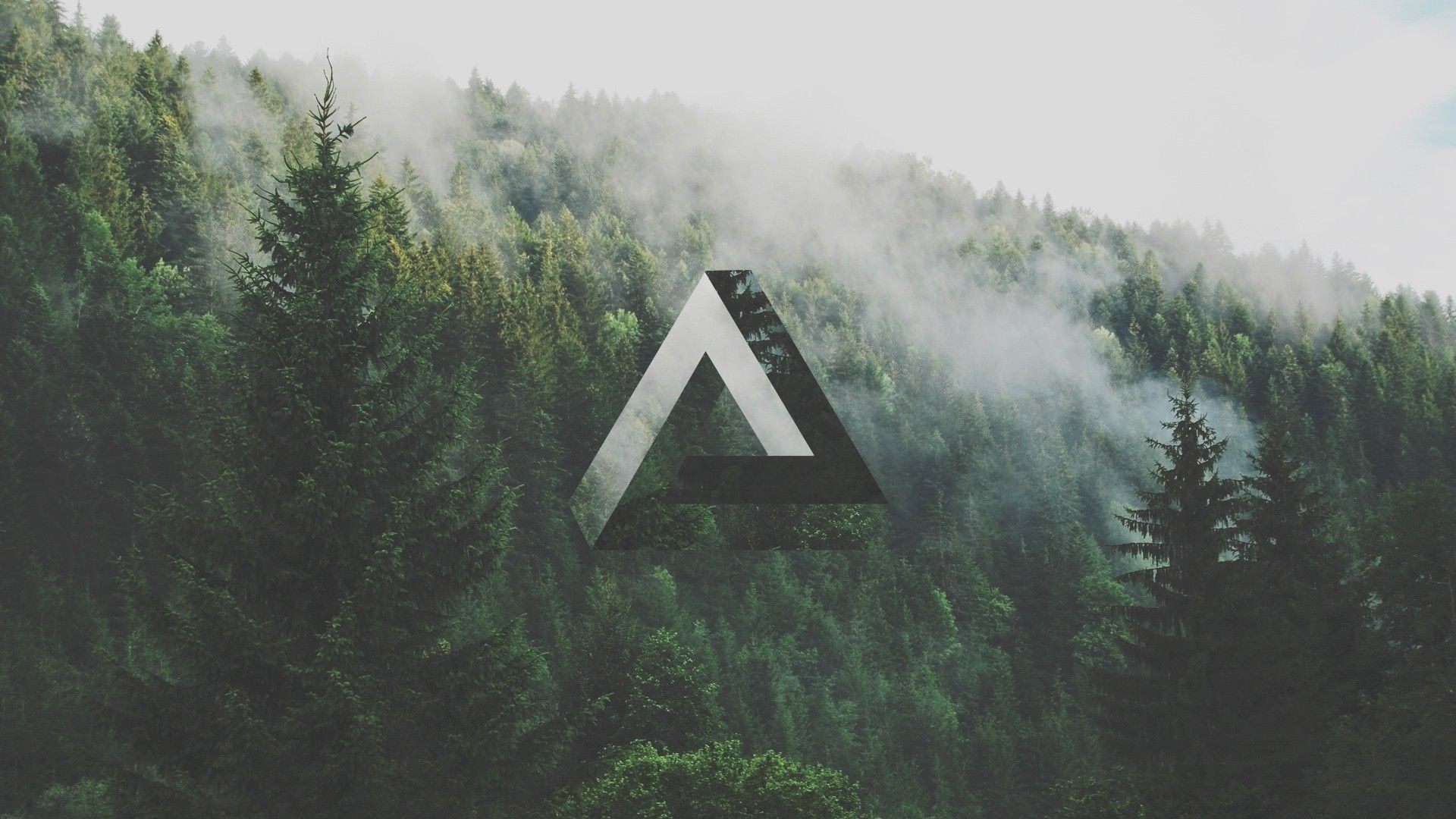 1920x1080 triangle geometry forest penrose triangle