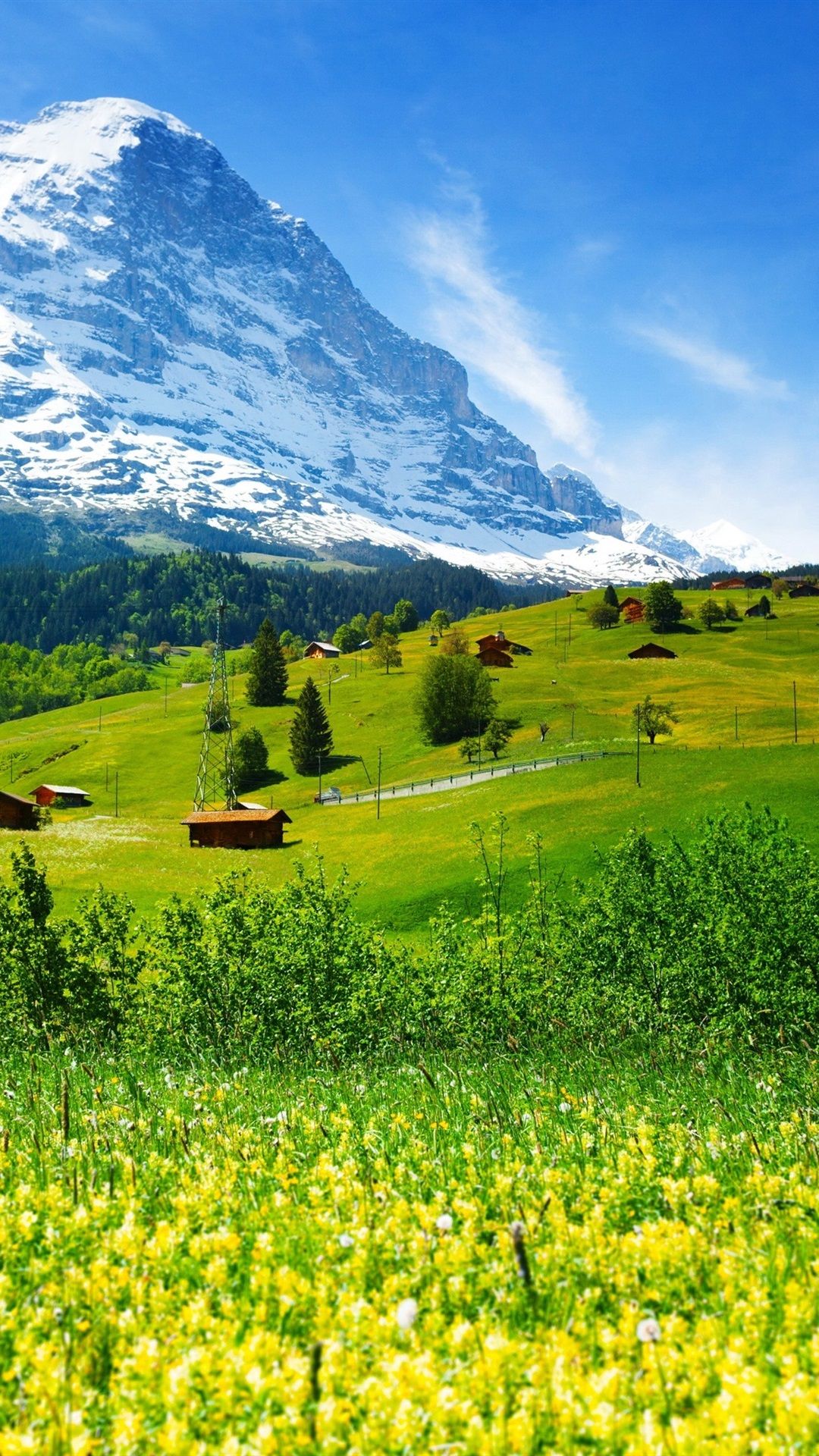 Wallpaper Switzerland, mountains, glacier valley, grass
