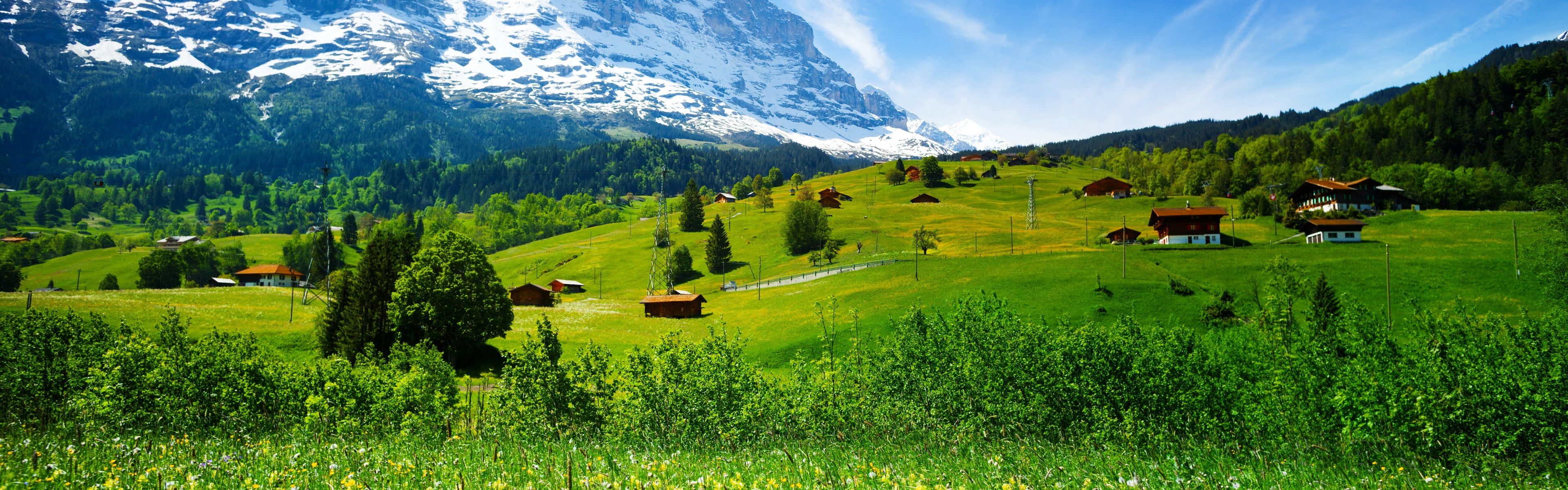 Switzerland, mountains, glacier valley, grass, wildflowers, house