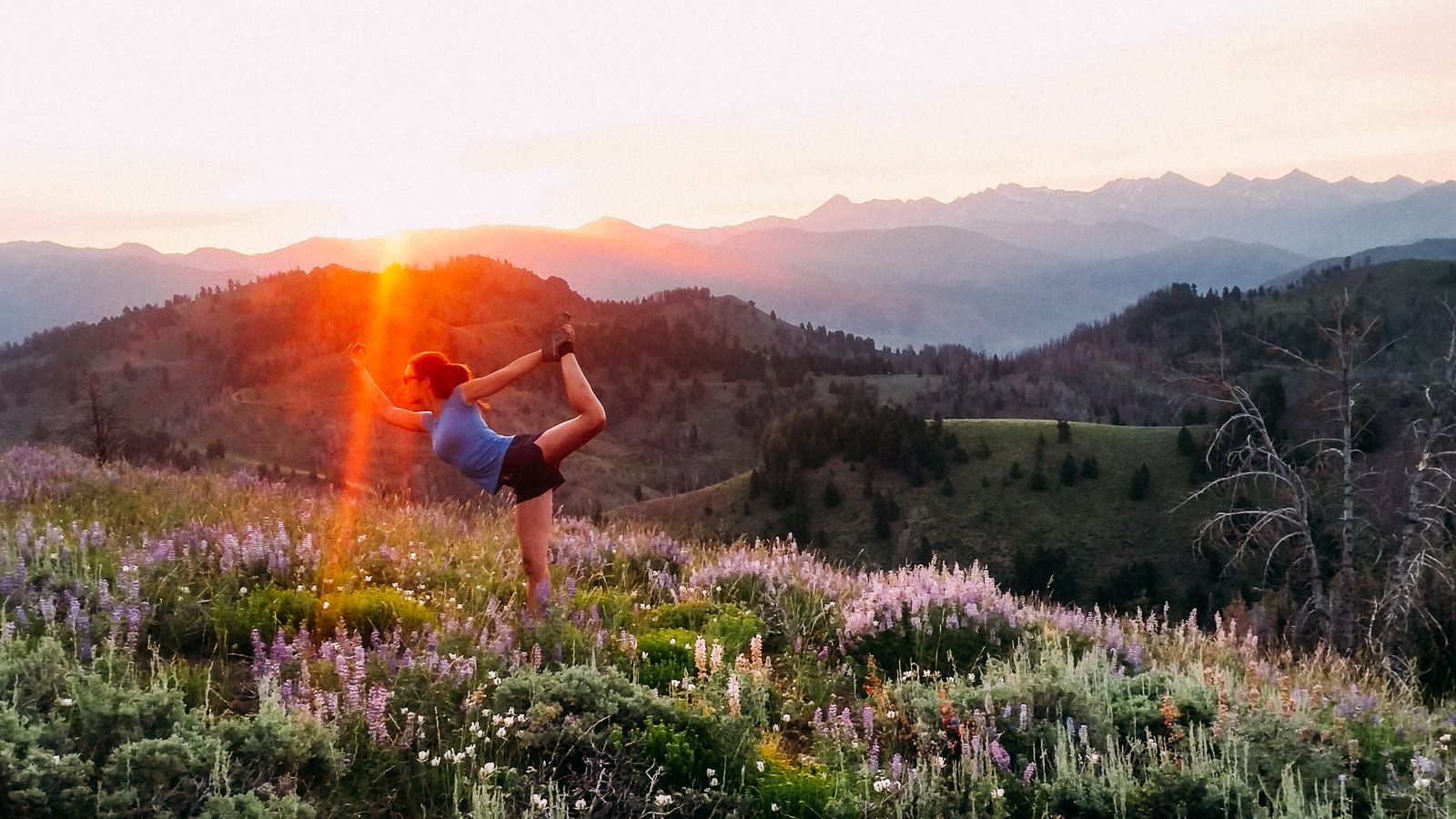 Best Hikes to Catch the Blooming Wildflowers. Visit Sun Valley