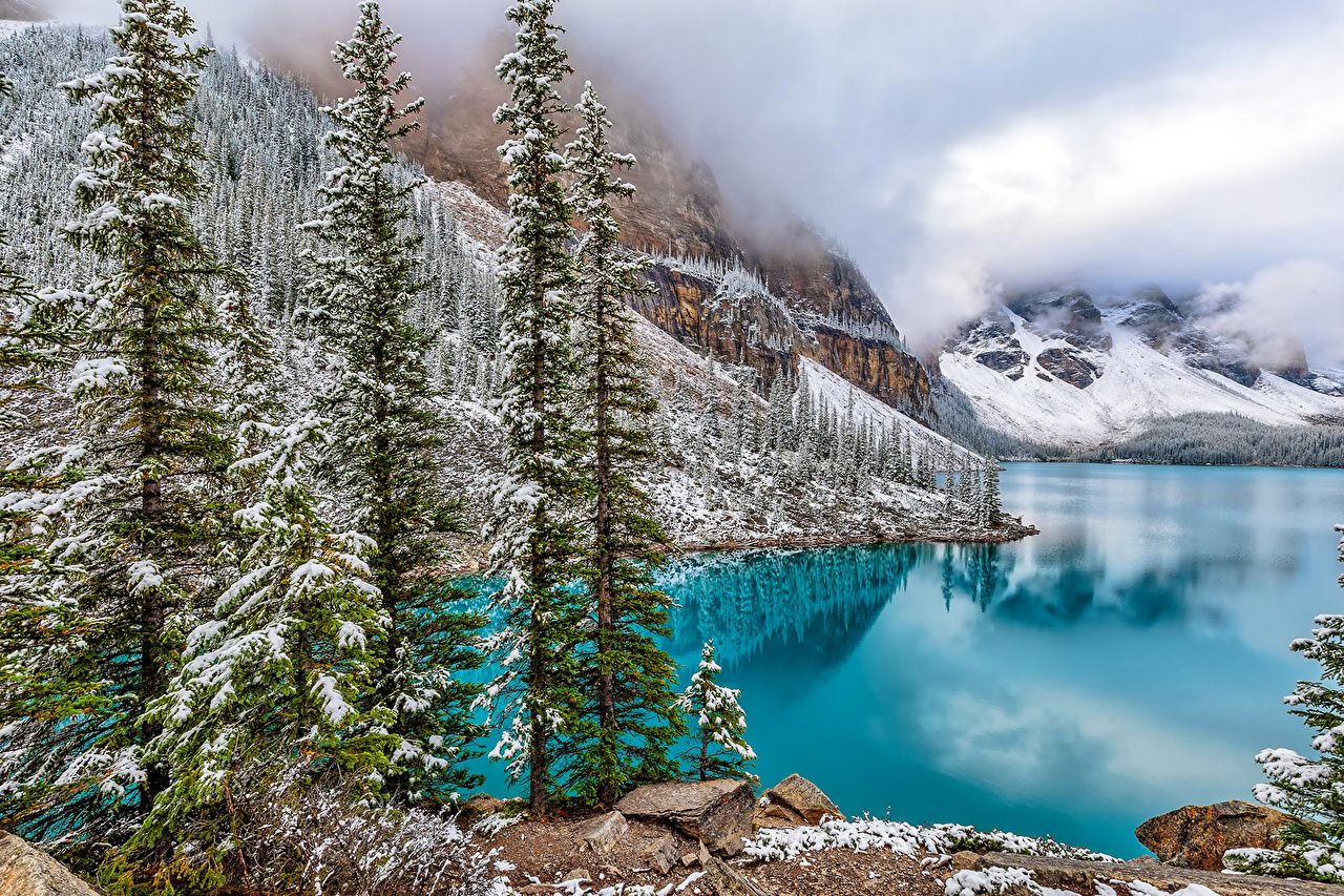 Desktop Wallpaper Banff Canada Moraine Lake Nature Spruce Snow