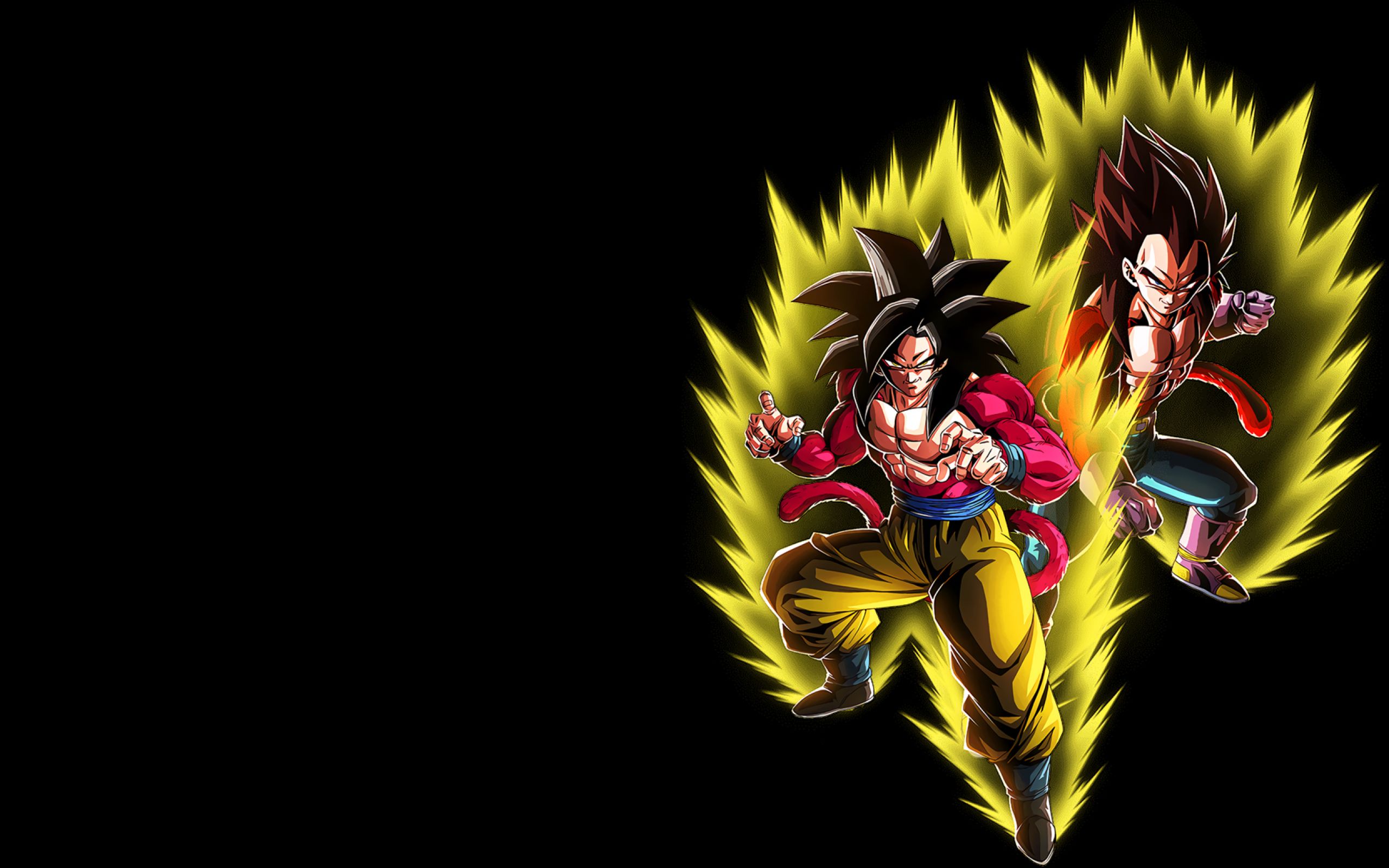Goku & Vegeta SSJ4 2560x1600 Resolution Wallpaper, HD