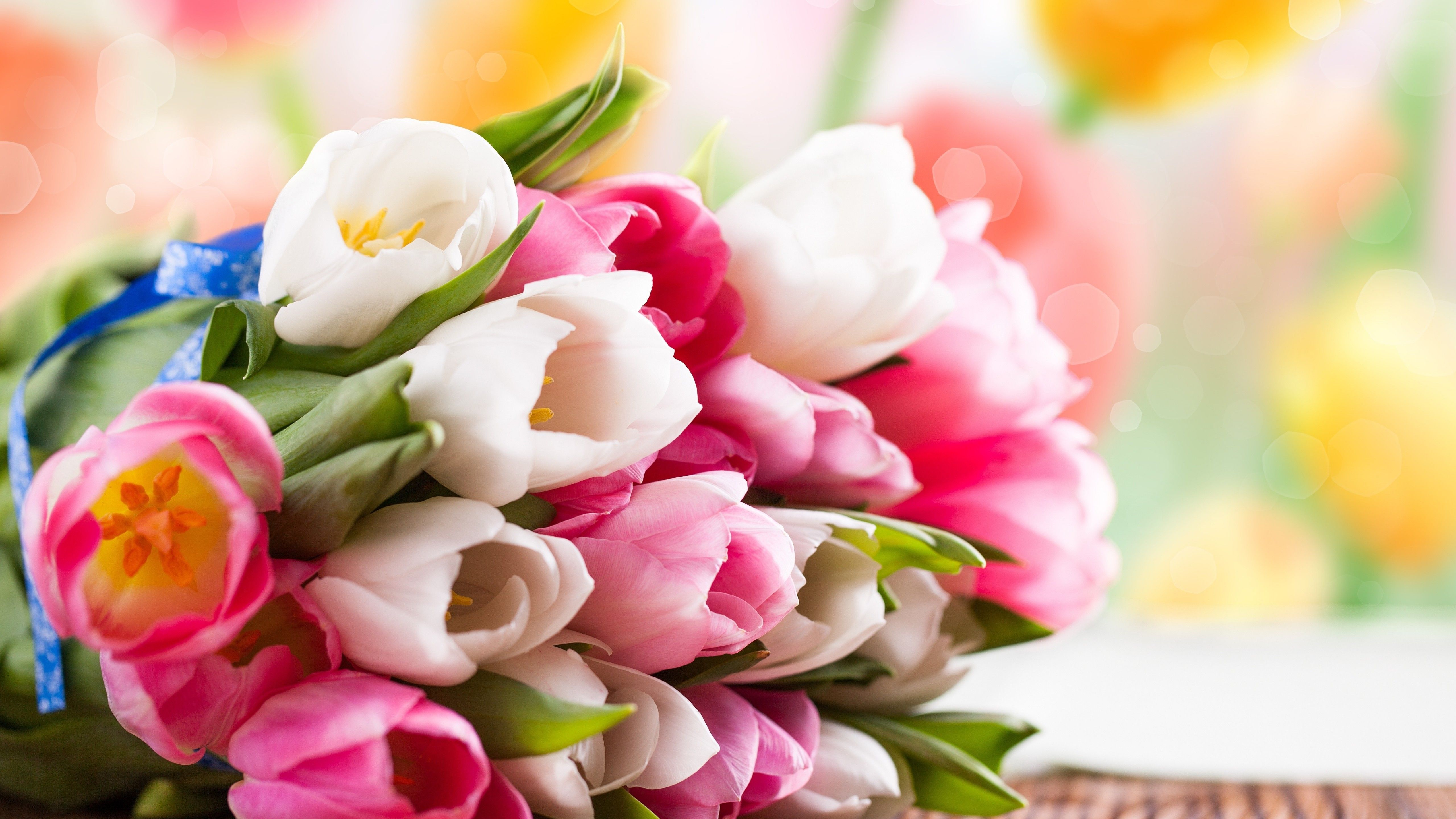 Wallpaper Tulip, flower bouquet, flowers, colorful, Holidays