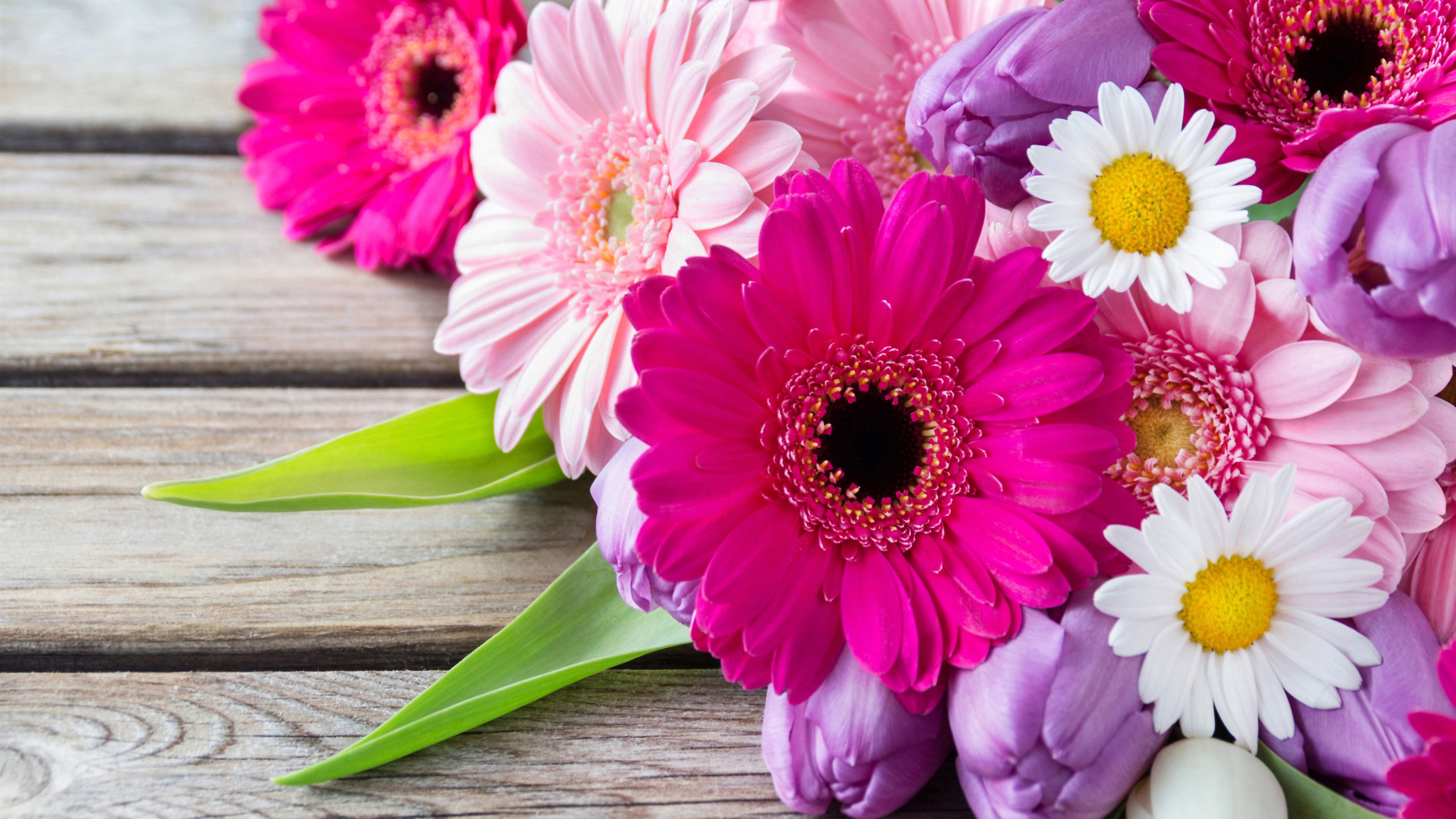 Colorful Flower Bouquet 5k Retina Ultra HD Wallpaper. Background