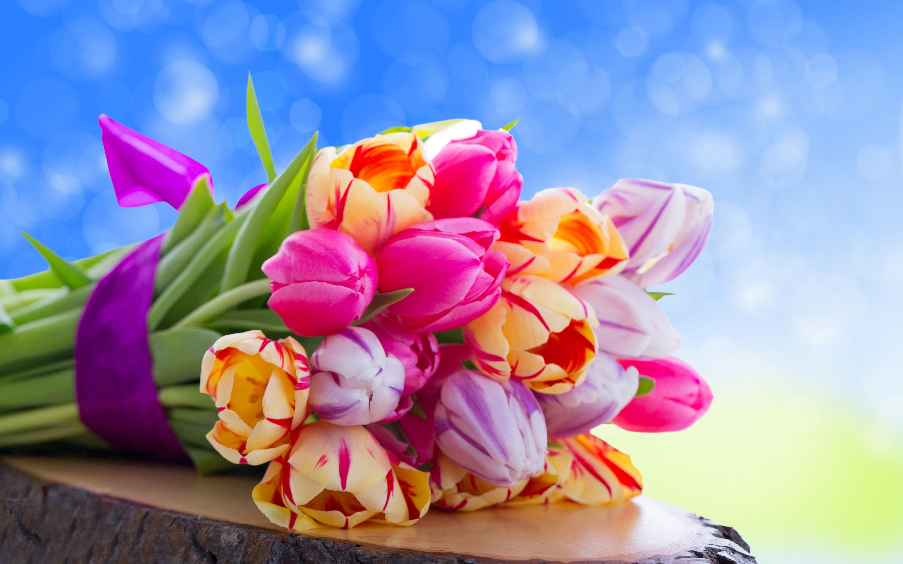 Download wallpaper colorful tulips, 4k, bokeh, spring flowers