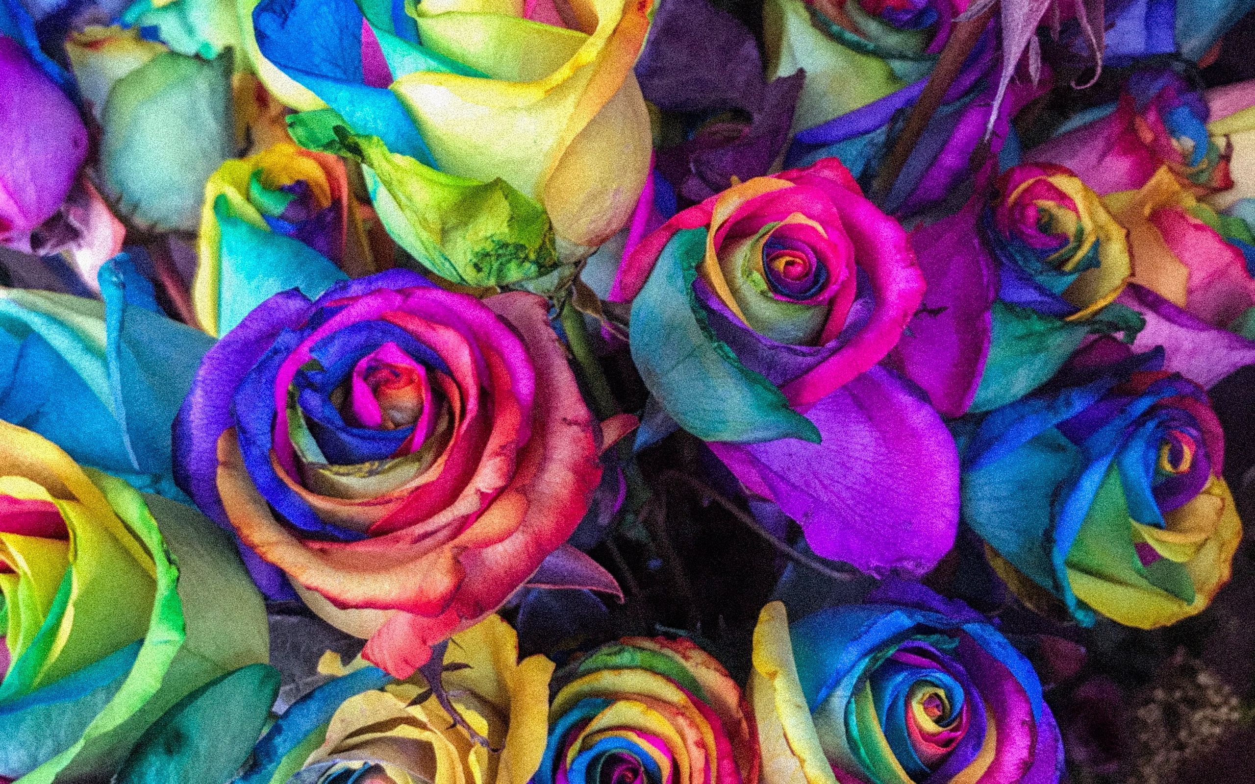Download wallpaper 2560x1600 roses, colorful, bouquet, colourful