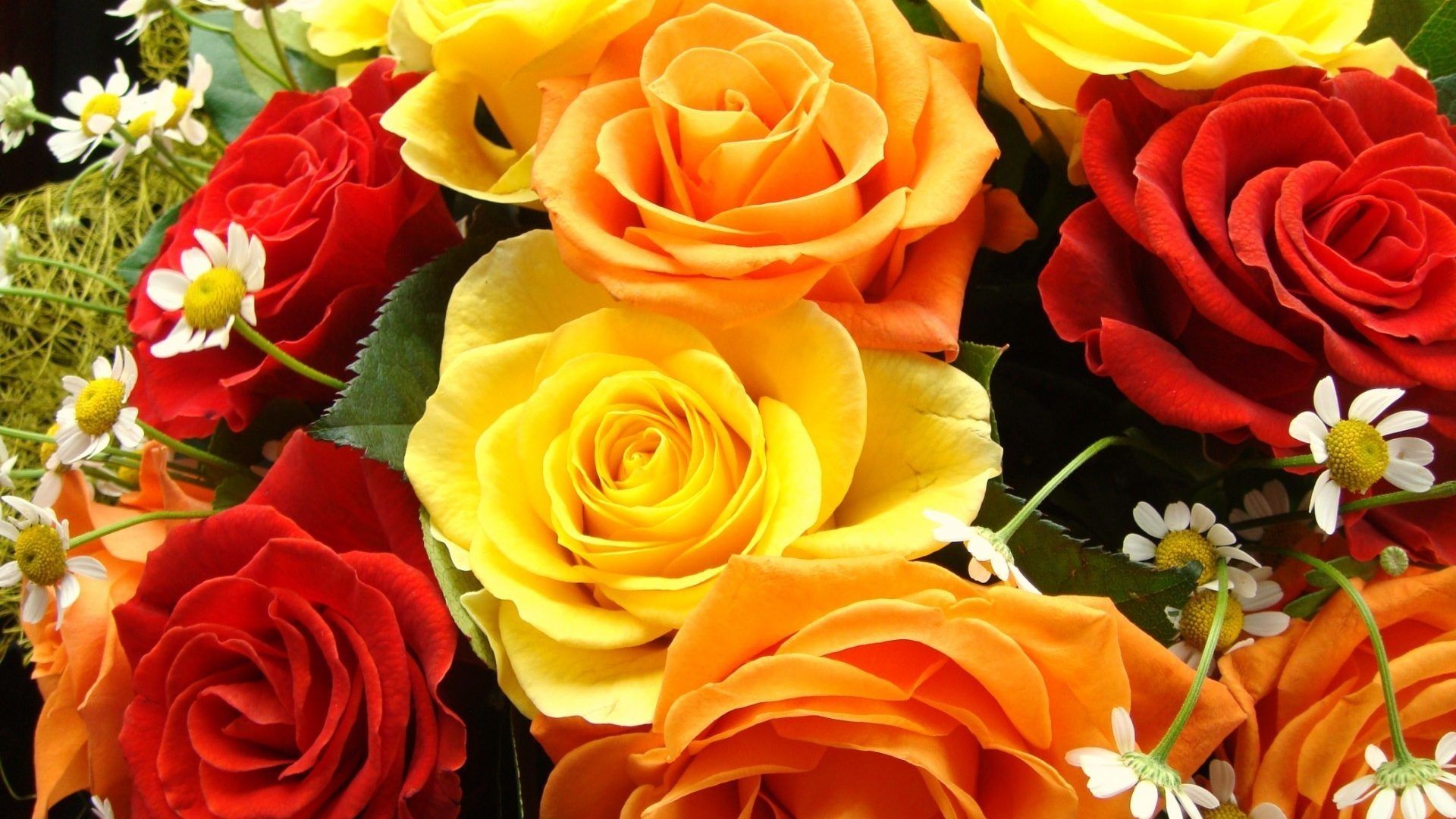 Colorful Rose Bouquet Widescreen Wallpaper And Red Rose