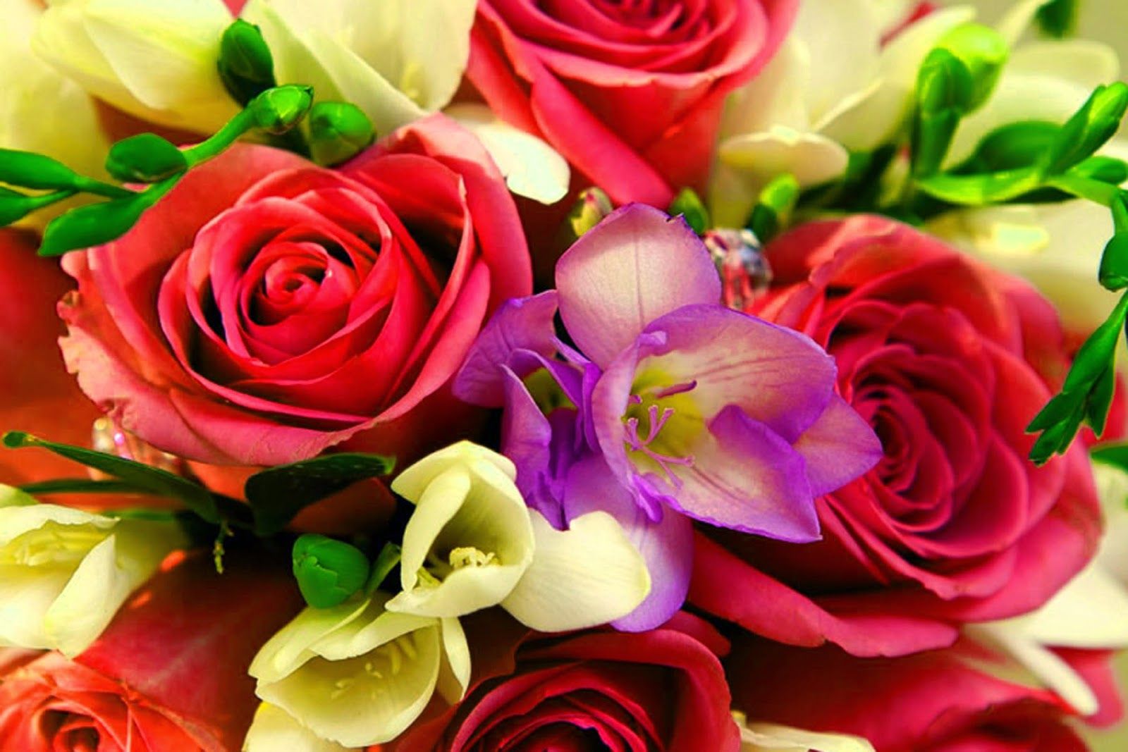 Colorful Bouquet of Flowers Wallpaper Background!