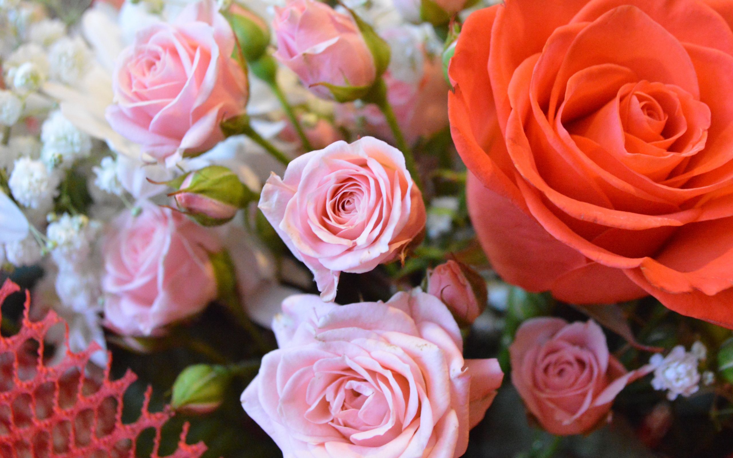 Download 2560x1600 wallpaper bouquet, rose, colorful, dual wide