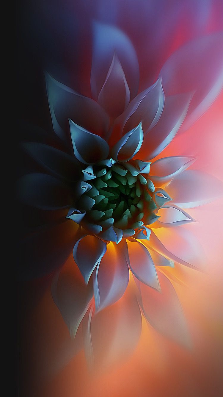 flower (Görüntüler ile). iPhone arkaplanları, Fraktal sanatı