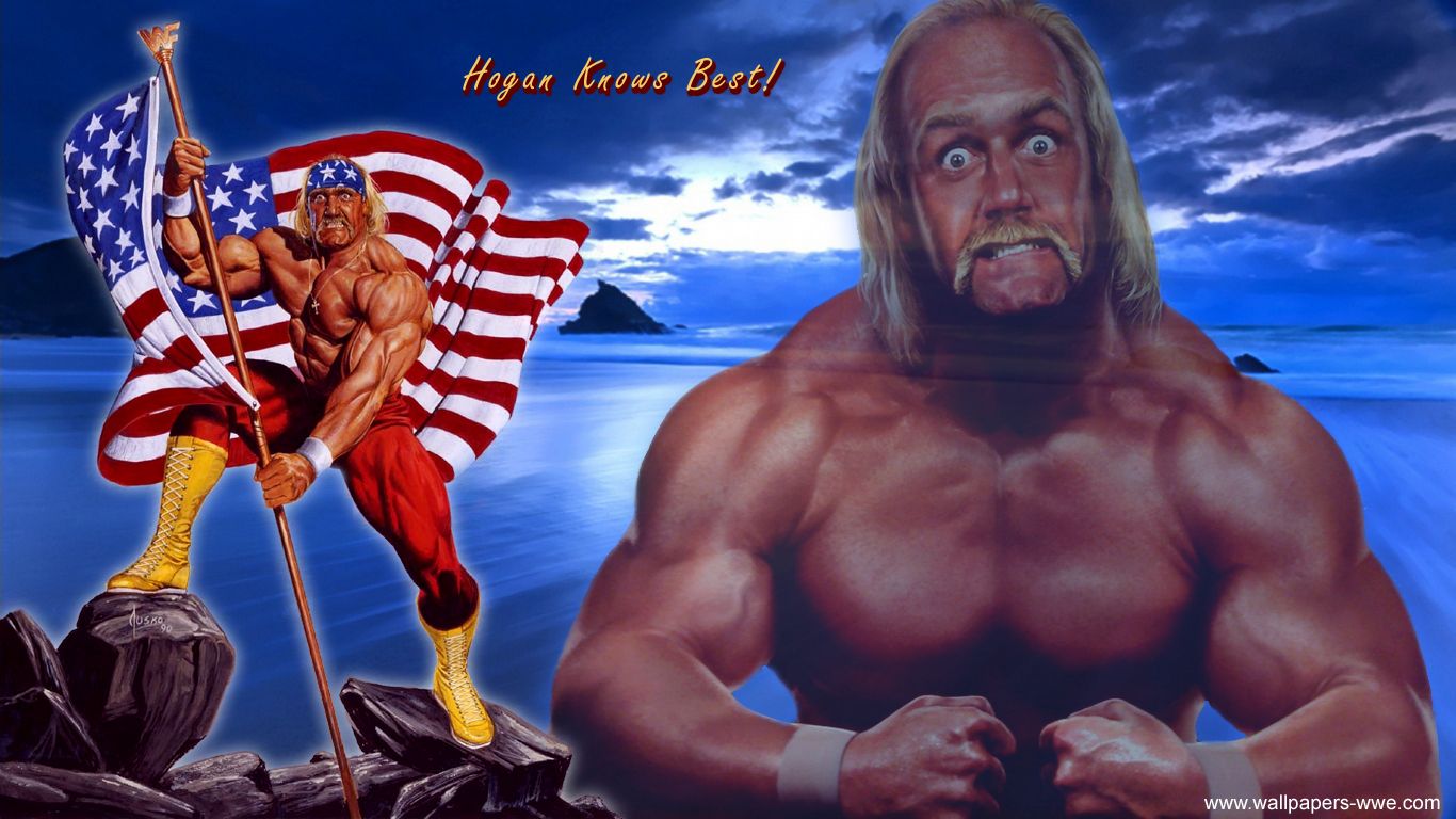 76+ Hulk Hogan Wallpapers.