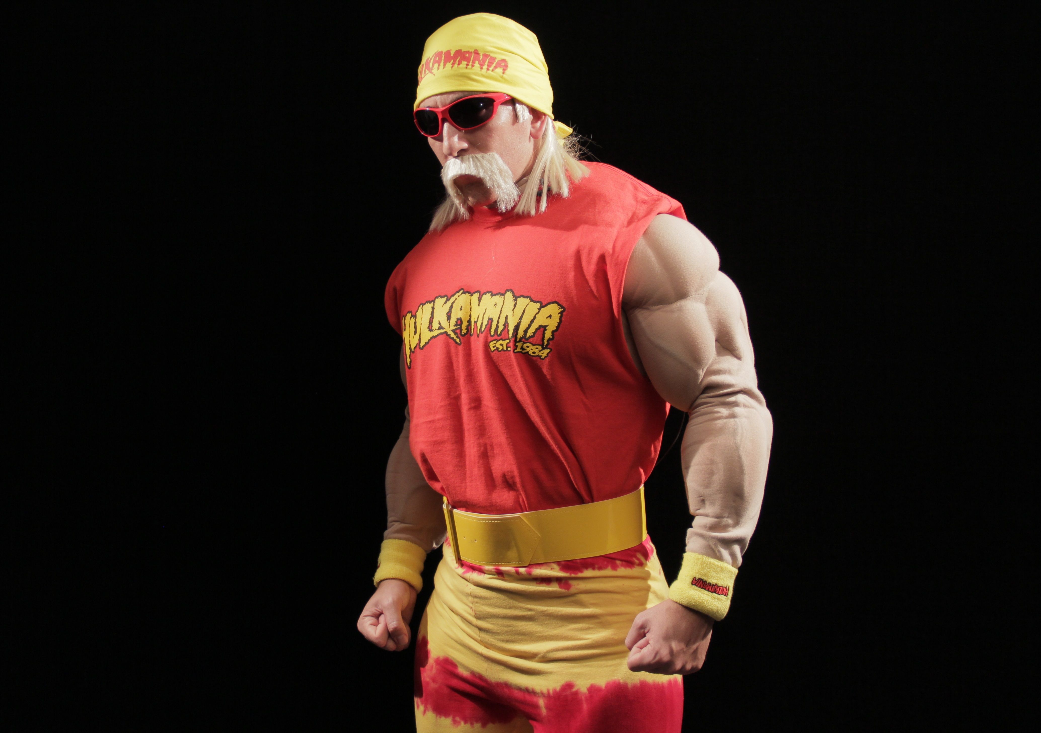Hulk Hogan Wallpapers Hq.