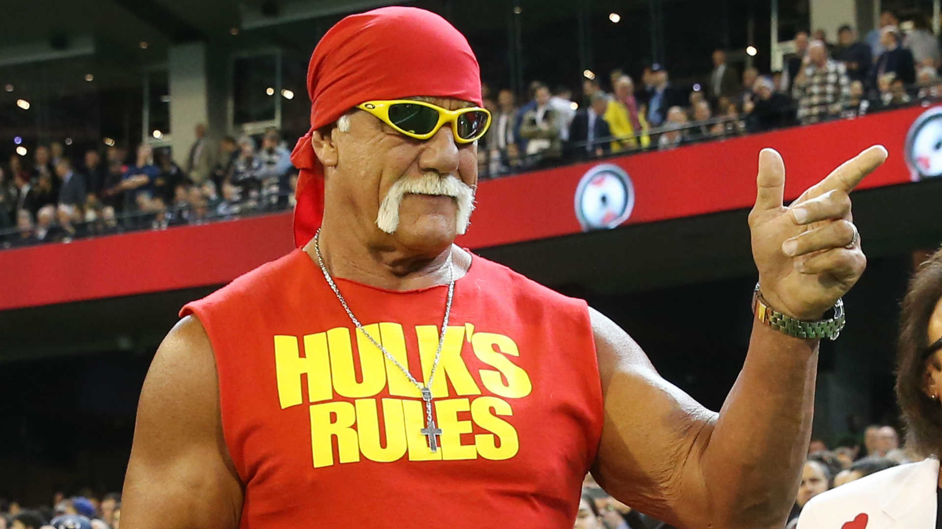 Hulk Hogan Computer Wallpaper
