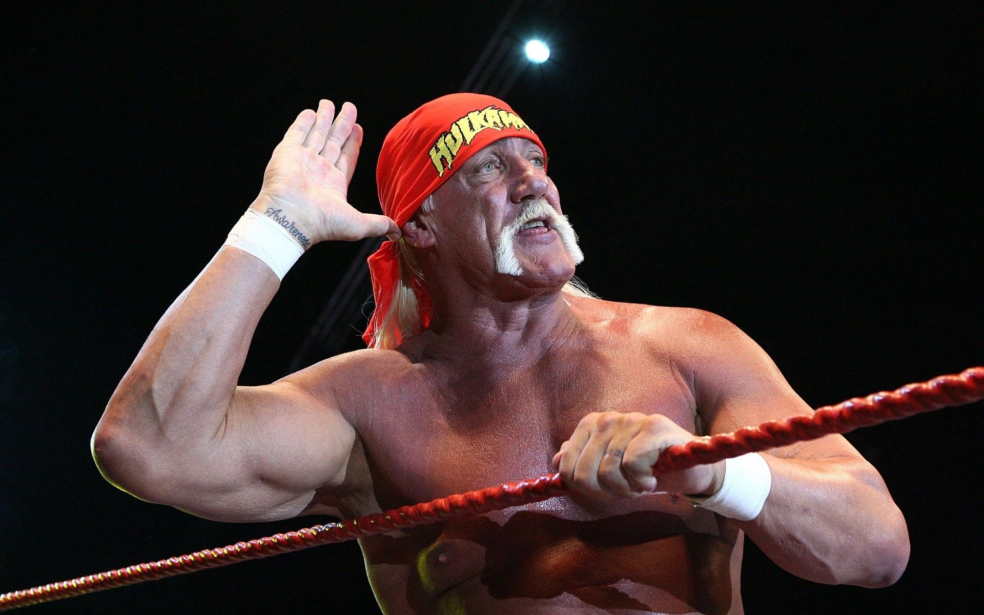 Hulk Hogan Salute