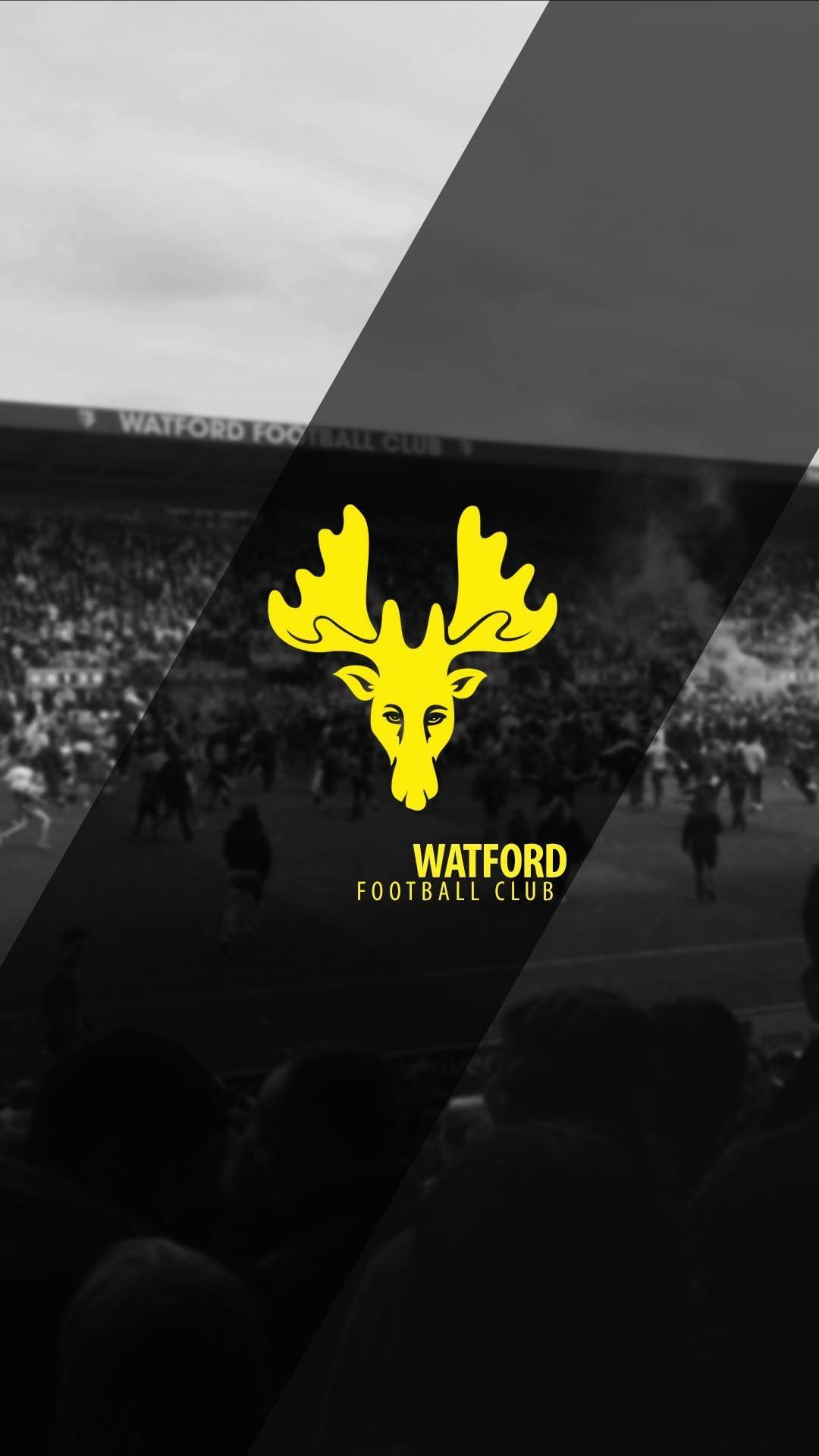 Watford F.C