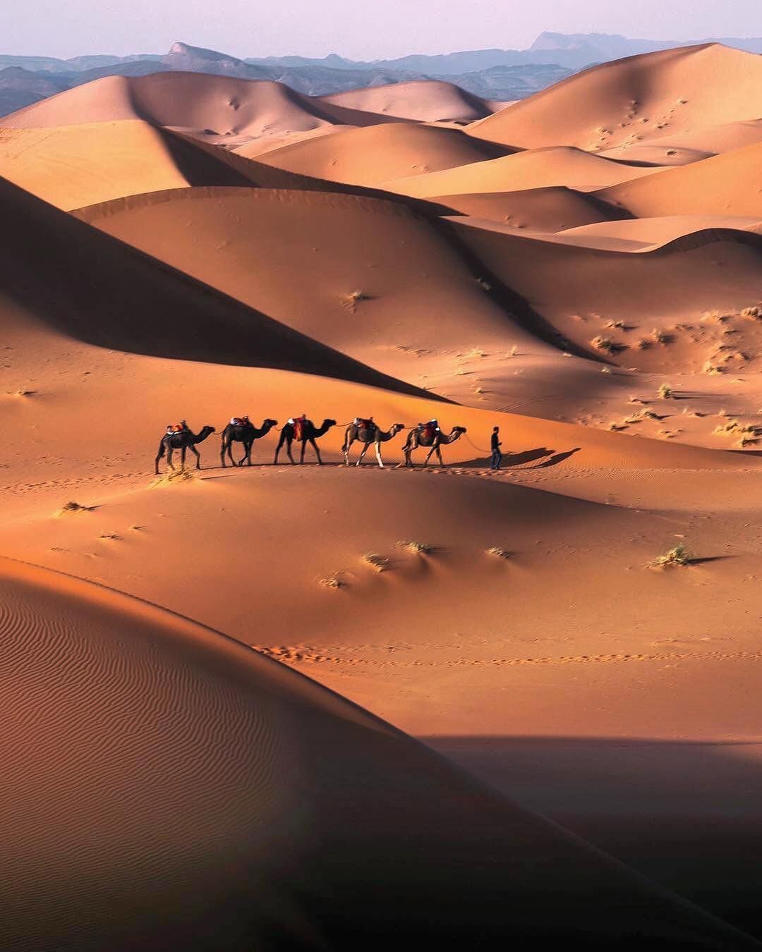 Plan a desert trip in Morocco { incredible Moroccan