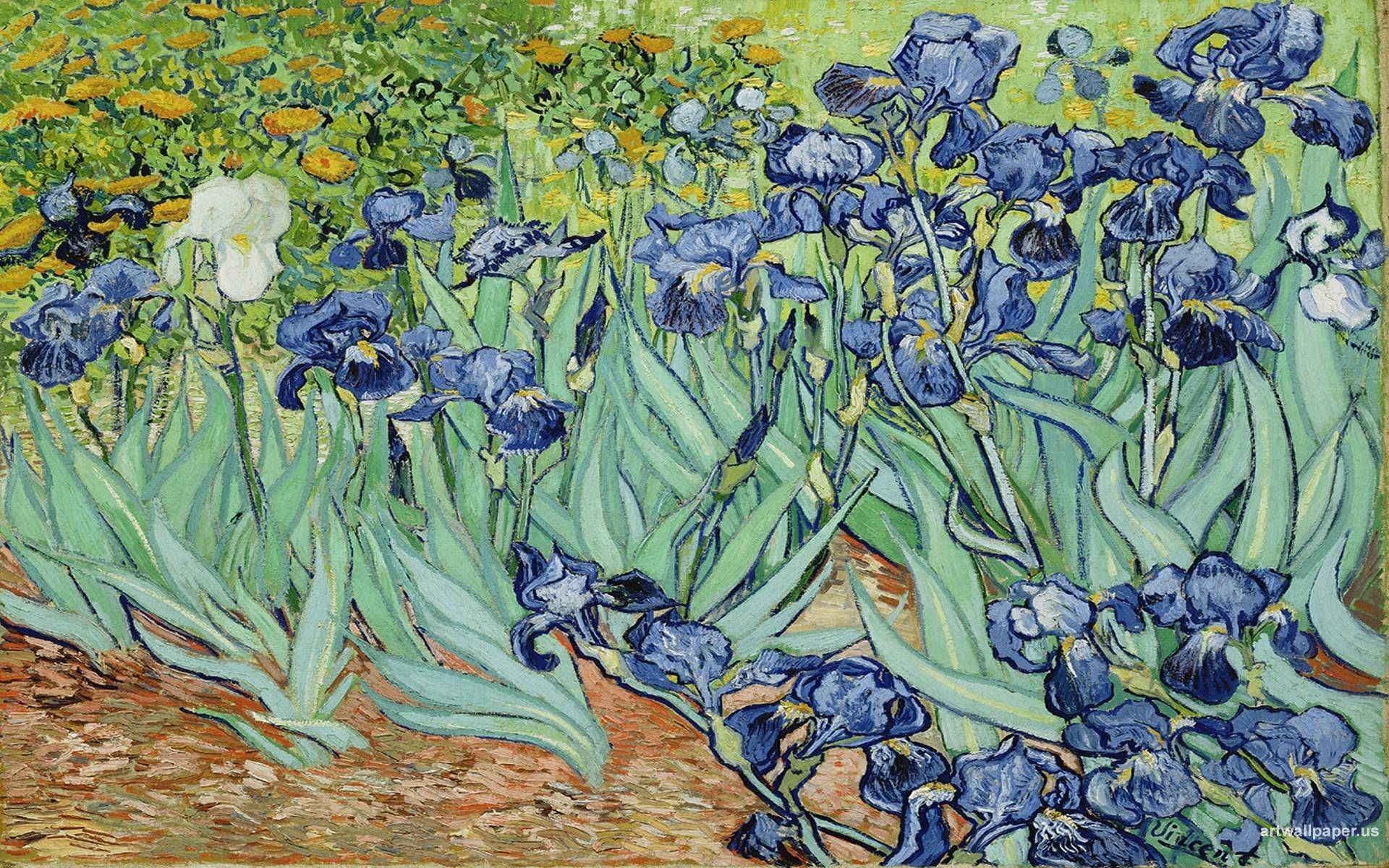 Van Gogh Irises Wallpaper Free Van Gogh Irises Background