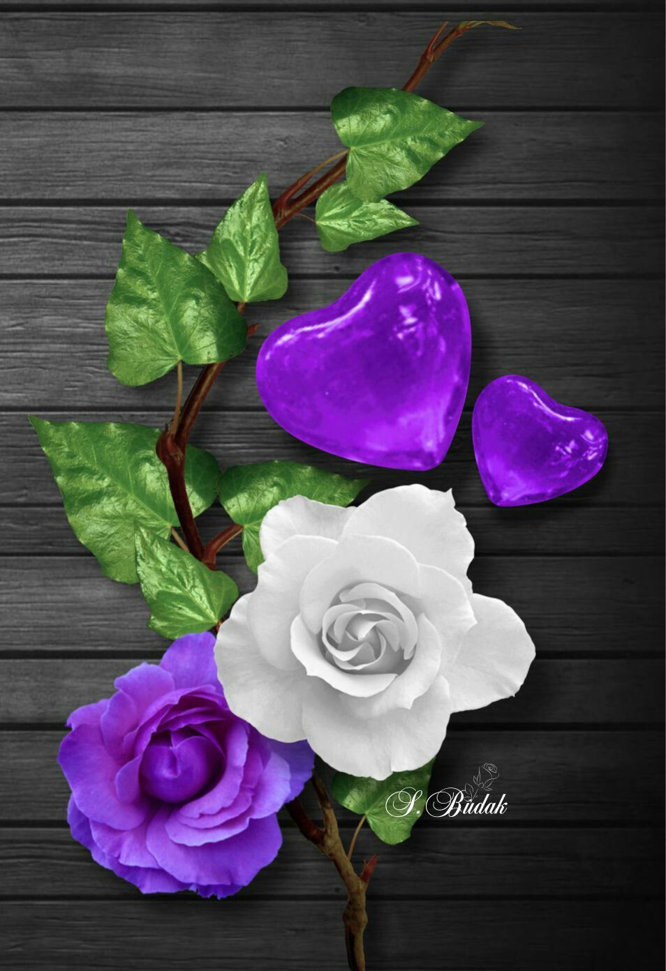 Purple hearts. Purple flowers, Beautiful flowers