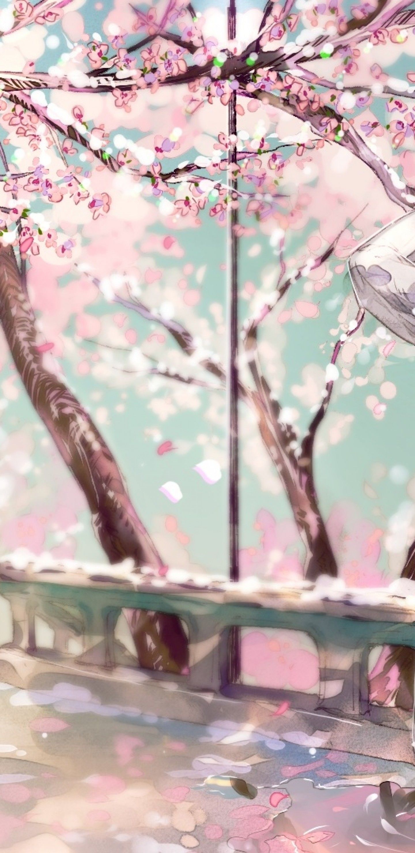 Download 1440x2960 Cherry Blossom, Sakura, Anime Girl, Back View