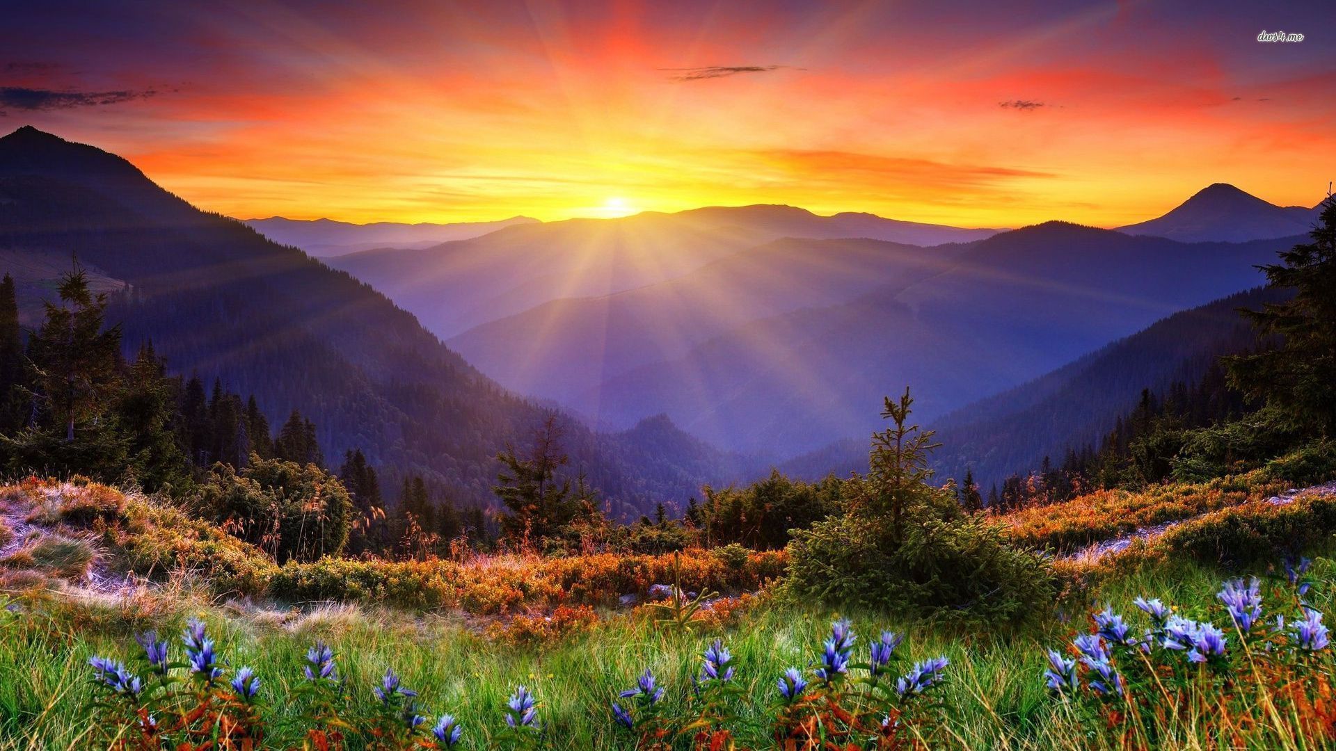 Mountain Sunrise Wallpaper Free Mountain Sunrise