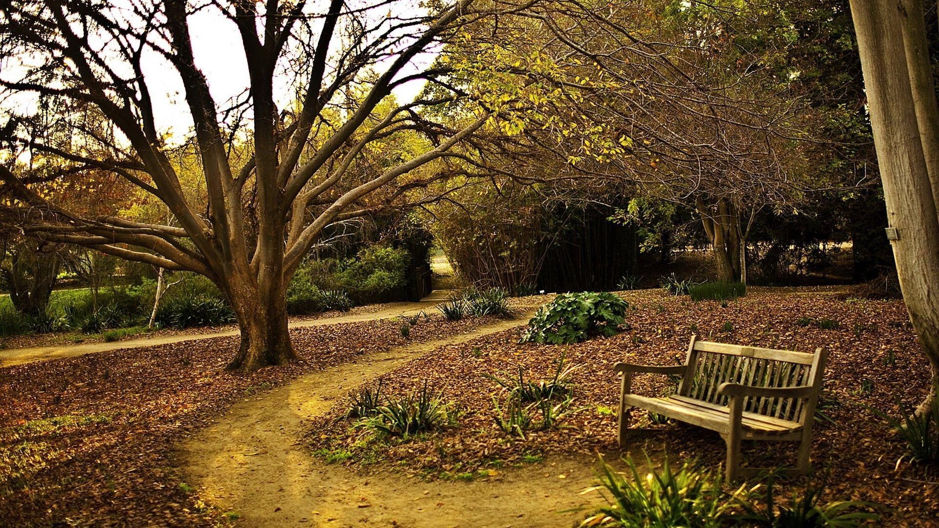 Park Bench. Park, Park bench, Fullerton arboretum