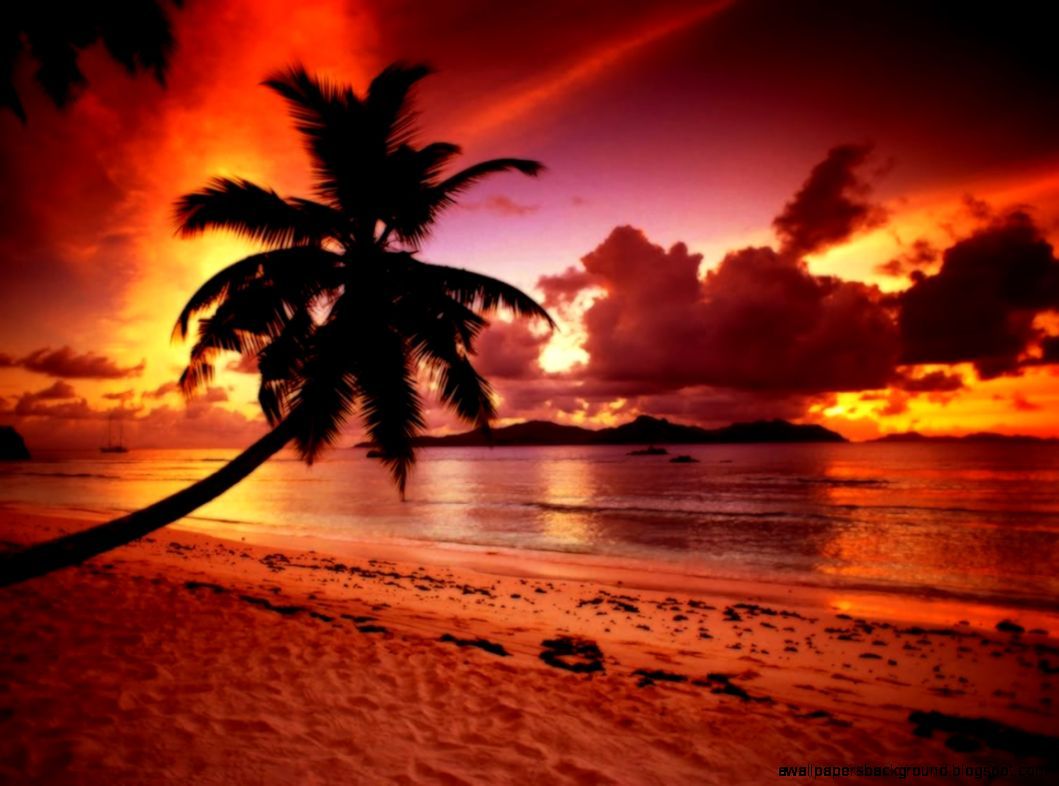 Free download Beach Paradise Sunset Wallpaper