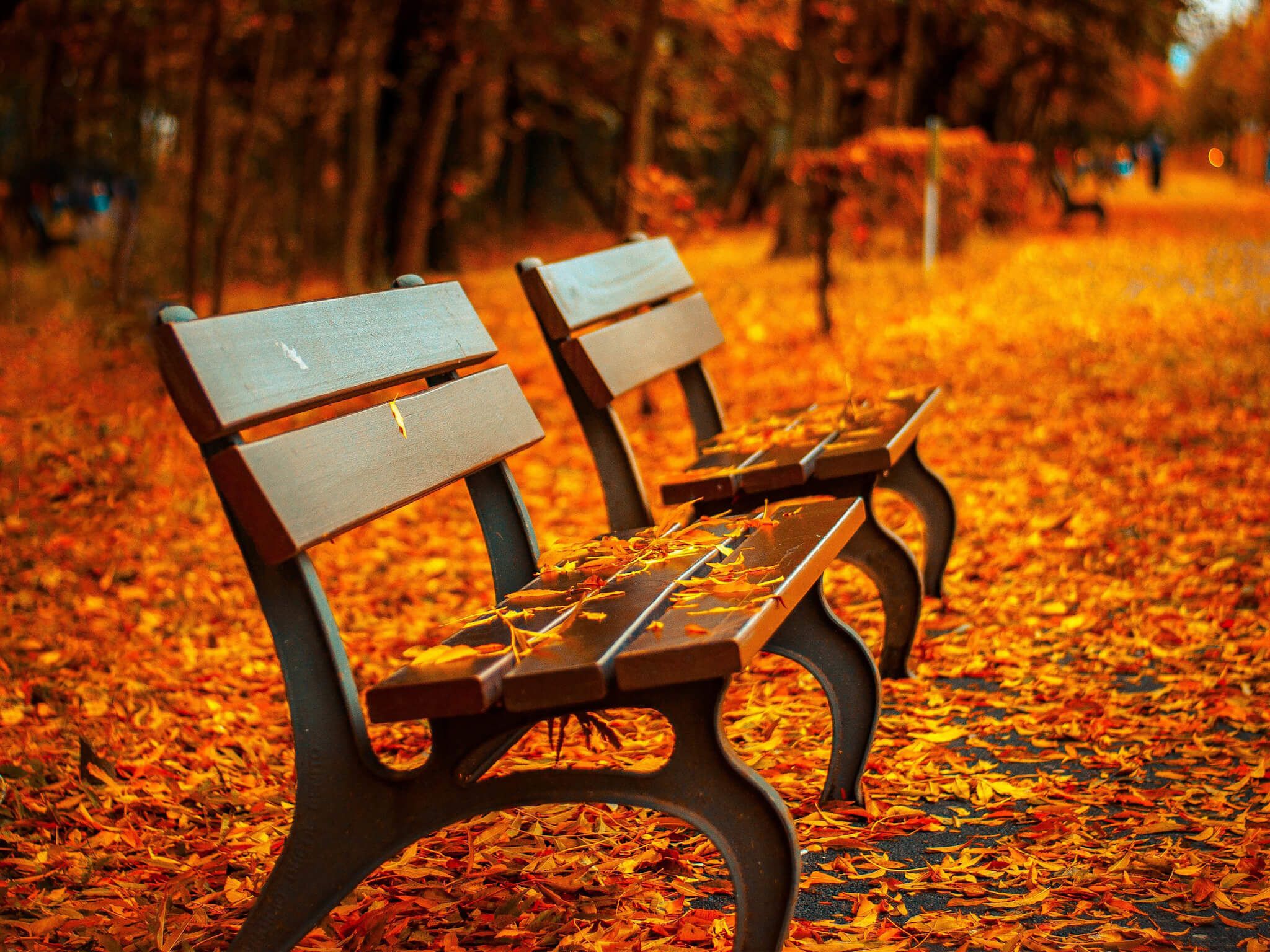Park Bench Wallpapers - Wallpaper Cave