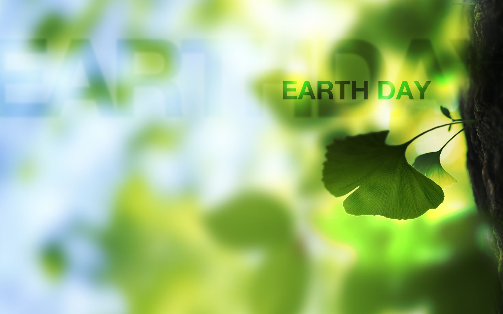 Earth Day HD Wallpaper