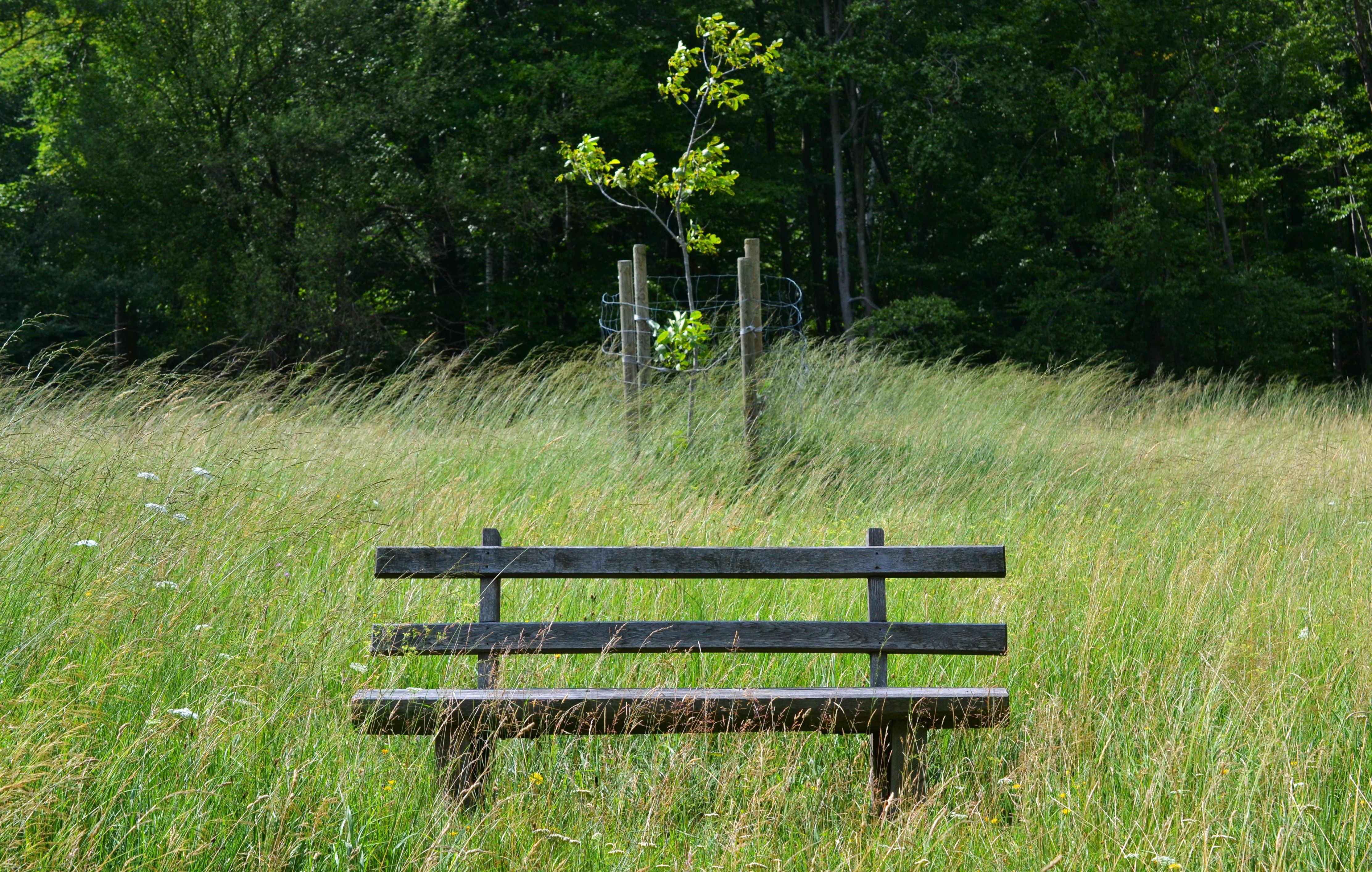 grey and black park bench free image