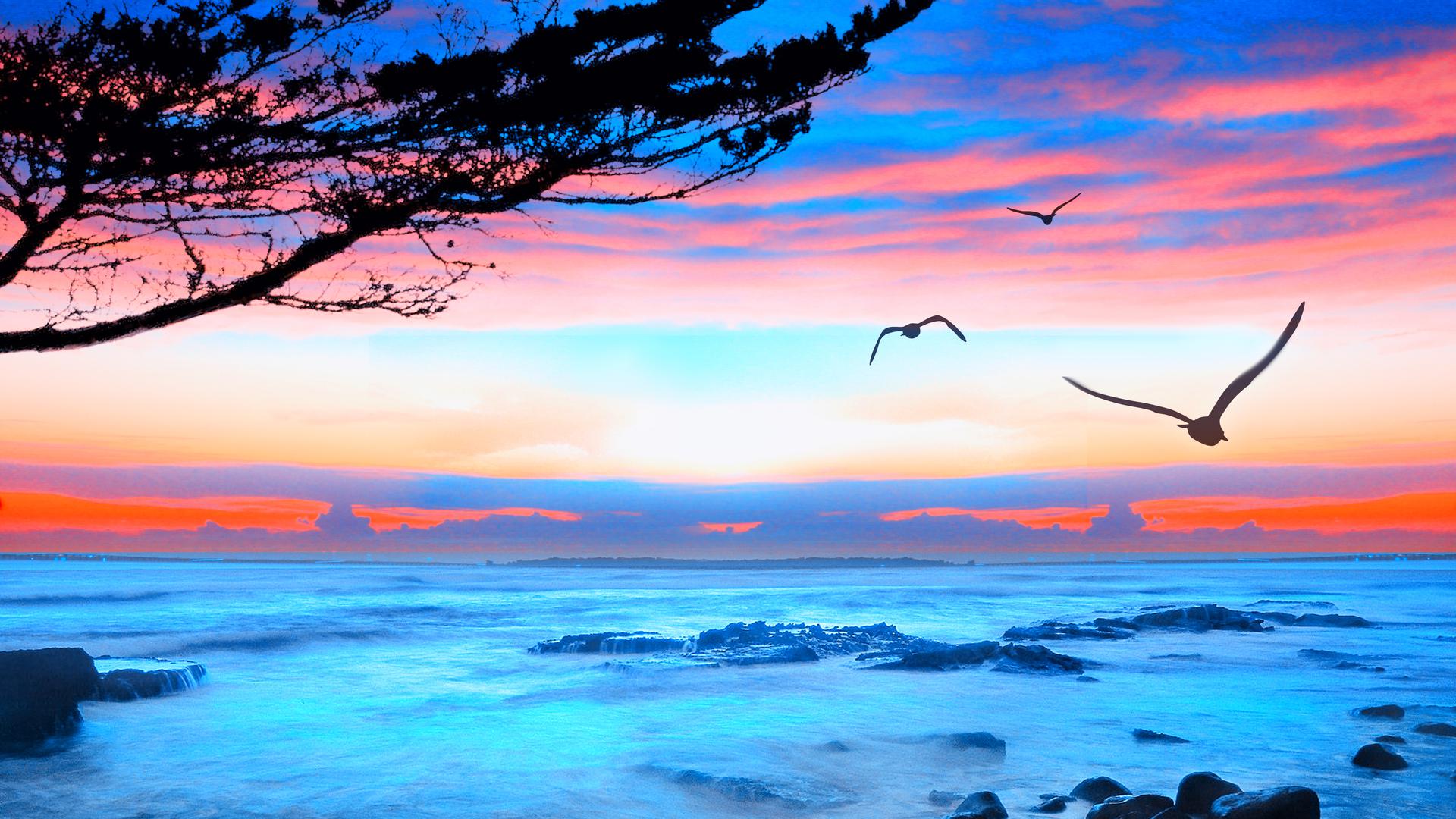 Sunset, ocean view, ocean, nature, clouds, sky, sea, HD wallpaper | Peakpx