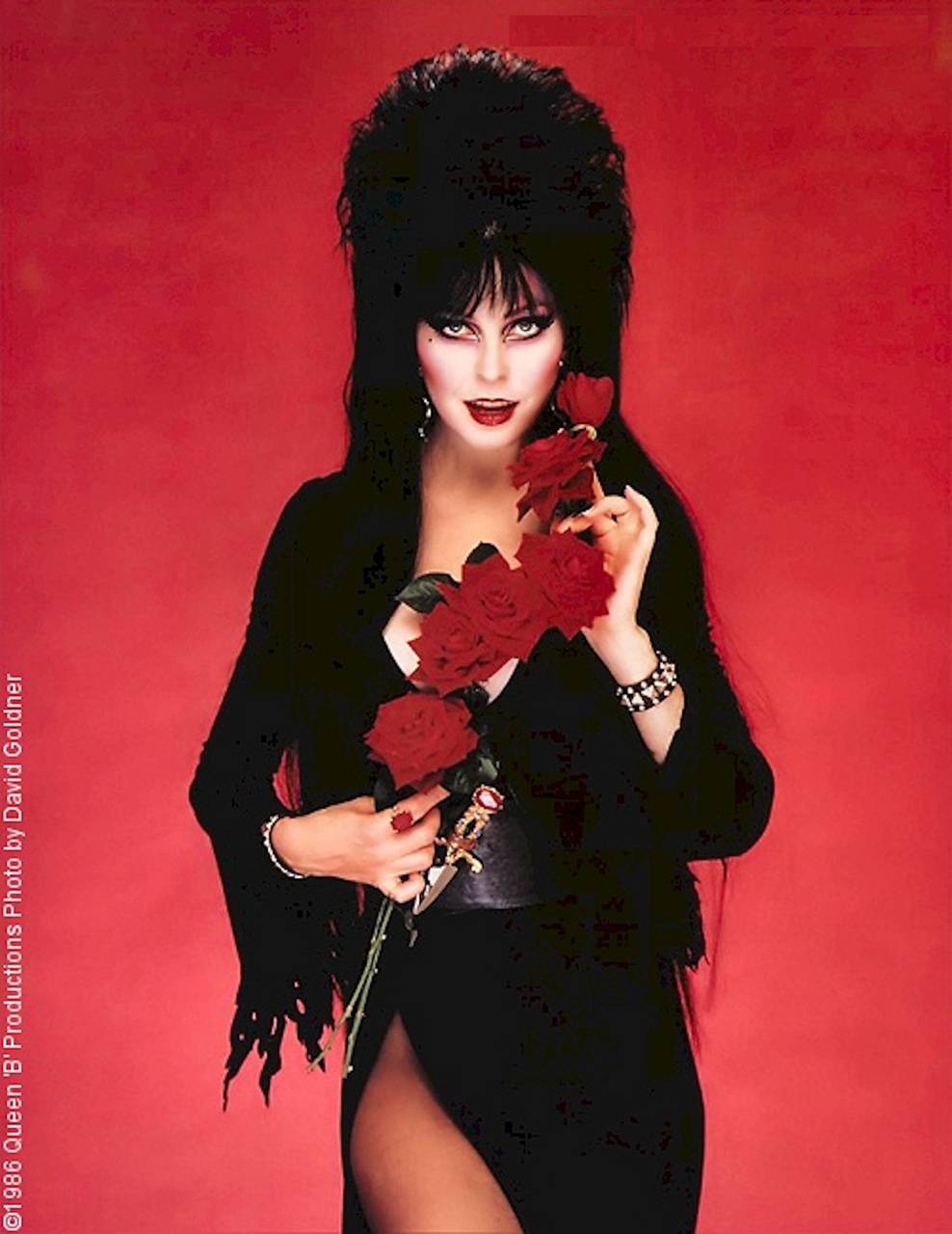 Elvira Wallpaper  Dark wallpaper Mistress The darkest