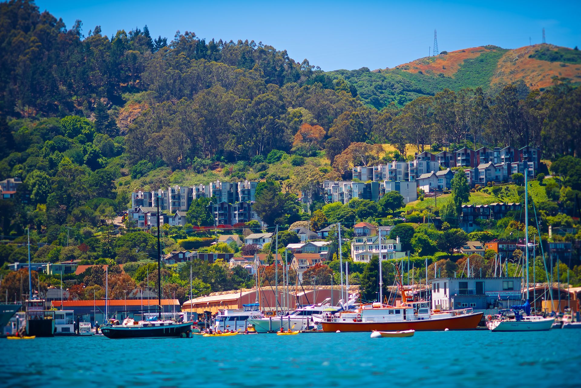Sausalito, San Francisco Bay. looks like a European Mediterranean
