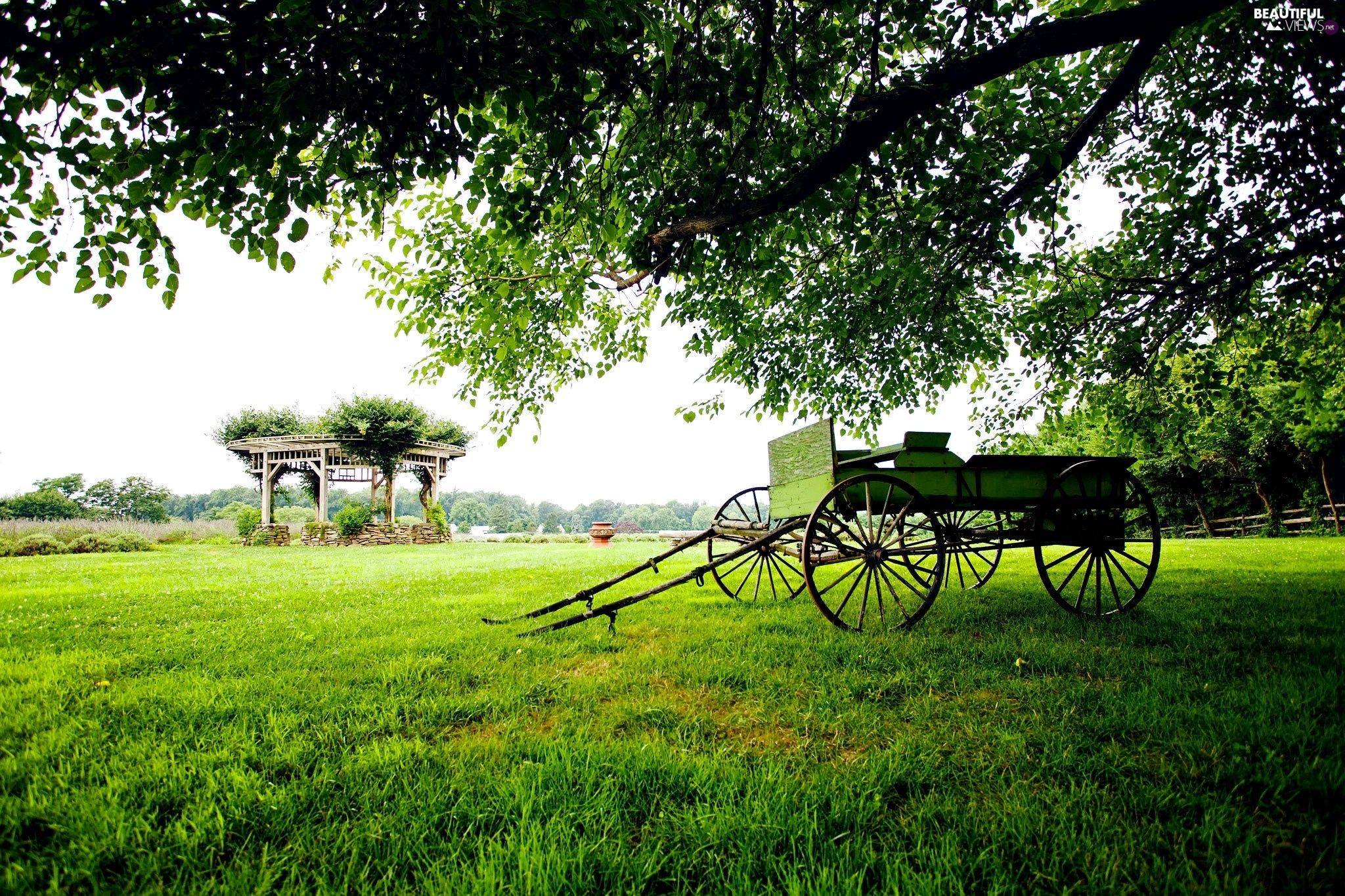 trees, country, arbour, wagon, Meadow views wallpaper