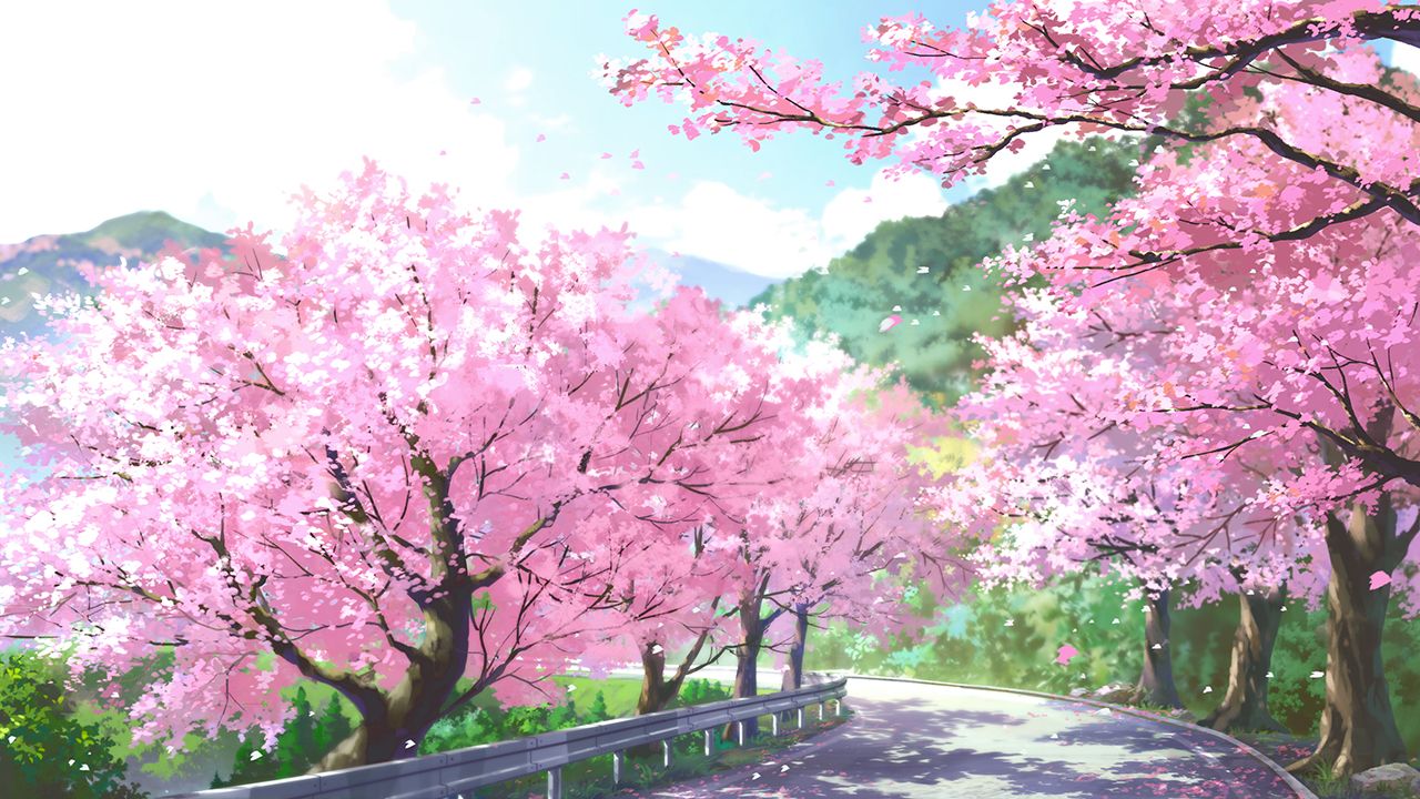 cherry blossoms dao dao flowers landscape nobody original scenic spring tree. konachan.com.com Anime Wallpaper