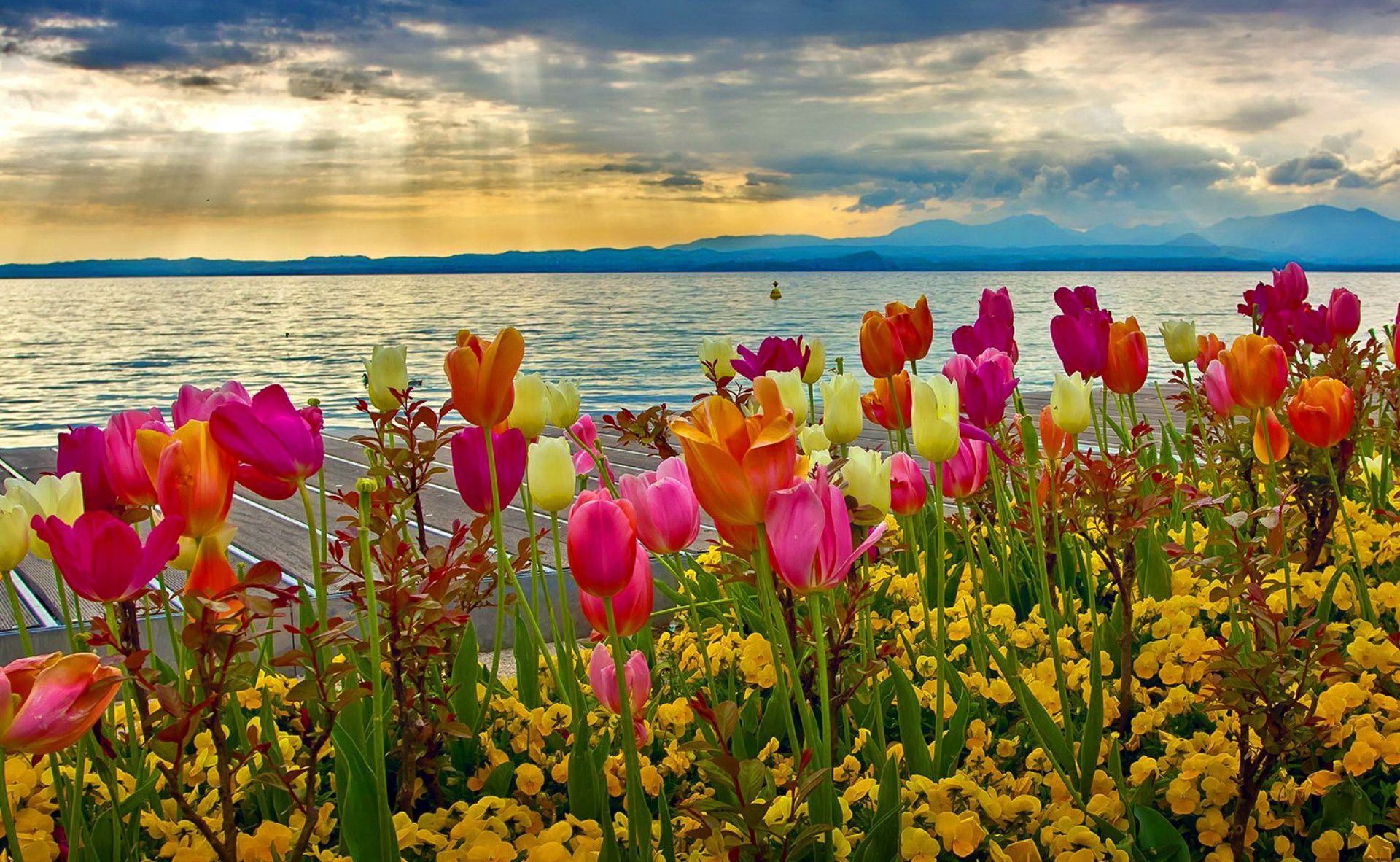 Spring Sunset At Lake Garda. Spring Wallpaper, Spring Desktop Wallpaper, Desktop Background Nature