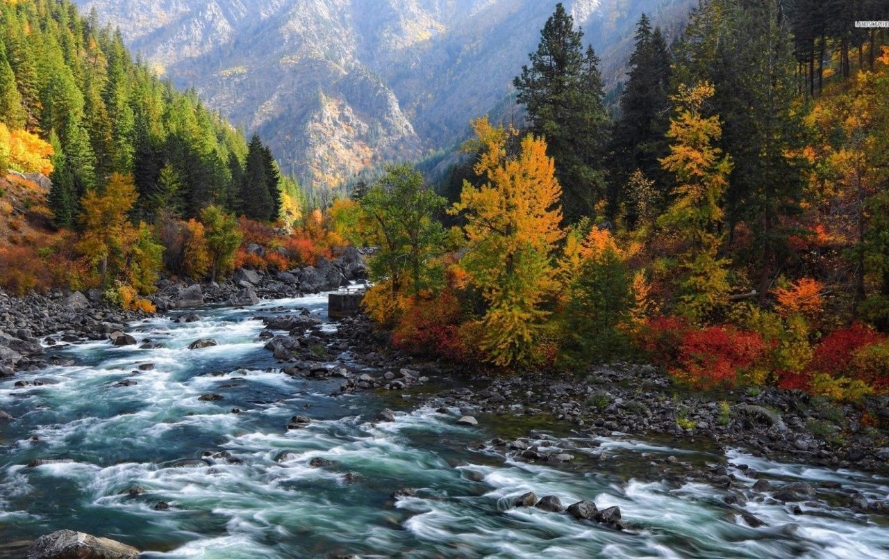 Rushing River Forest Mountains wallpaper. Rushing River Forest