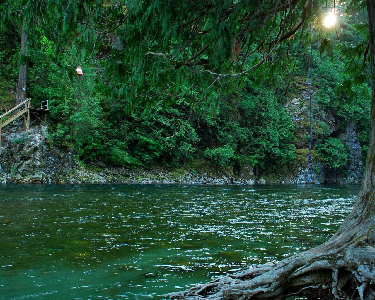 Download wallpaper 1280x1024 canada, river, forest standard 5:4 HD