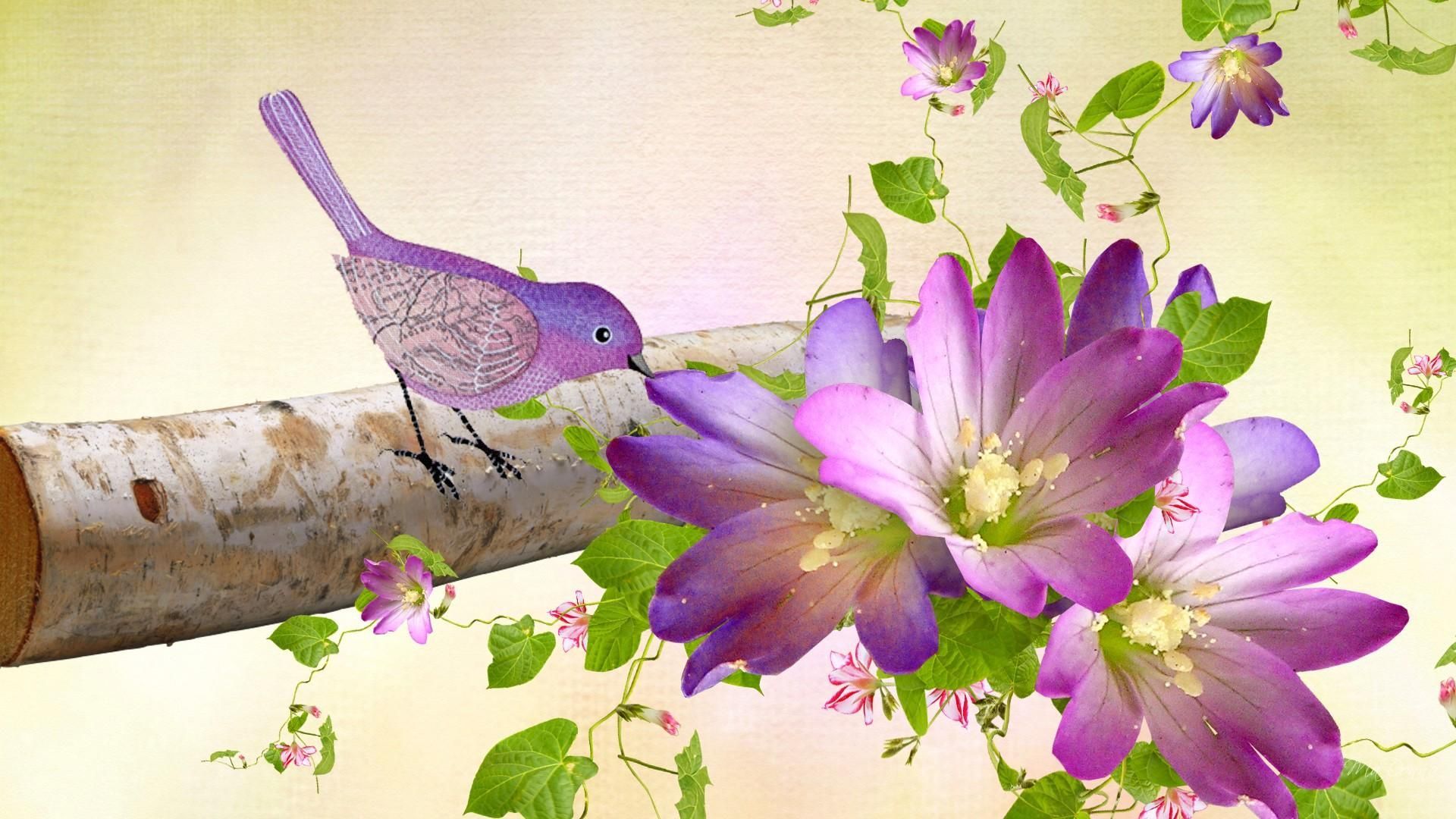 HD Purple Birds Flowers Wallpaper. Purple bird